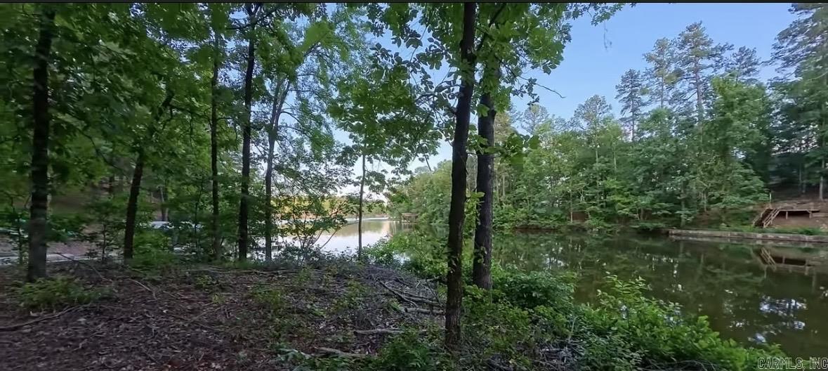 45 Tenerife  Hot Springs Village, AR