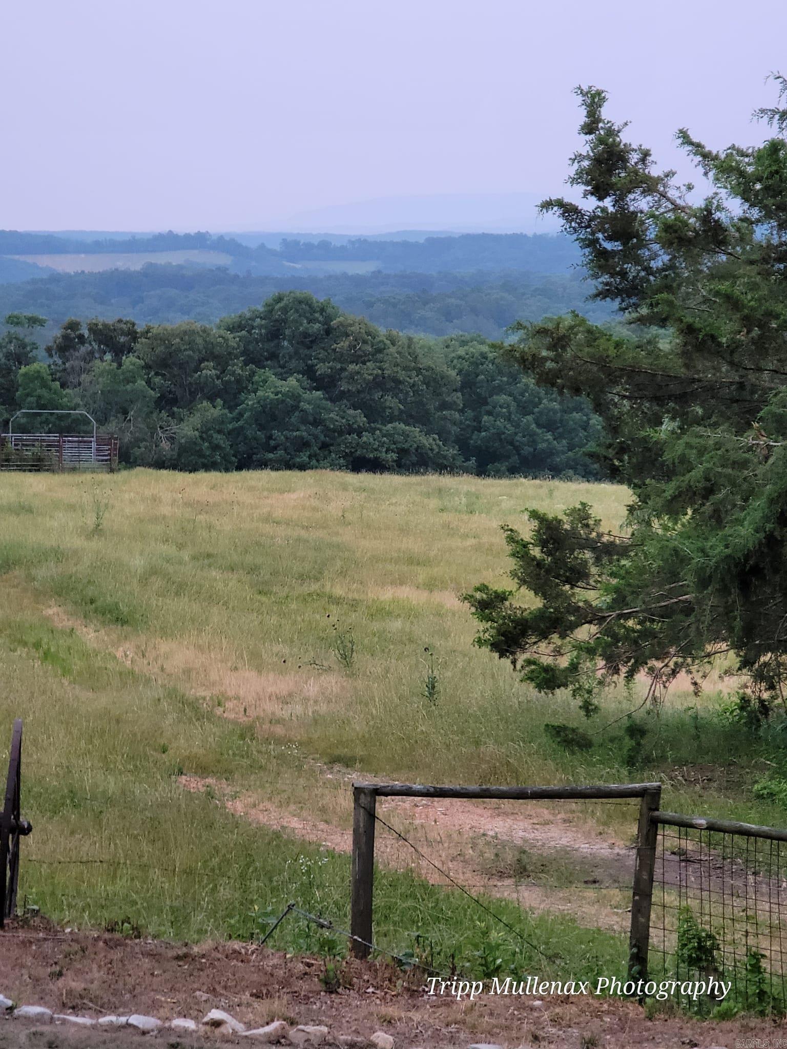 1931 Lawrence  Onia, AR