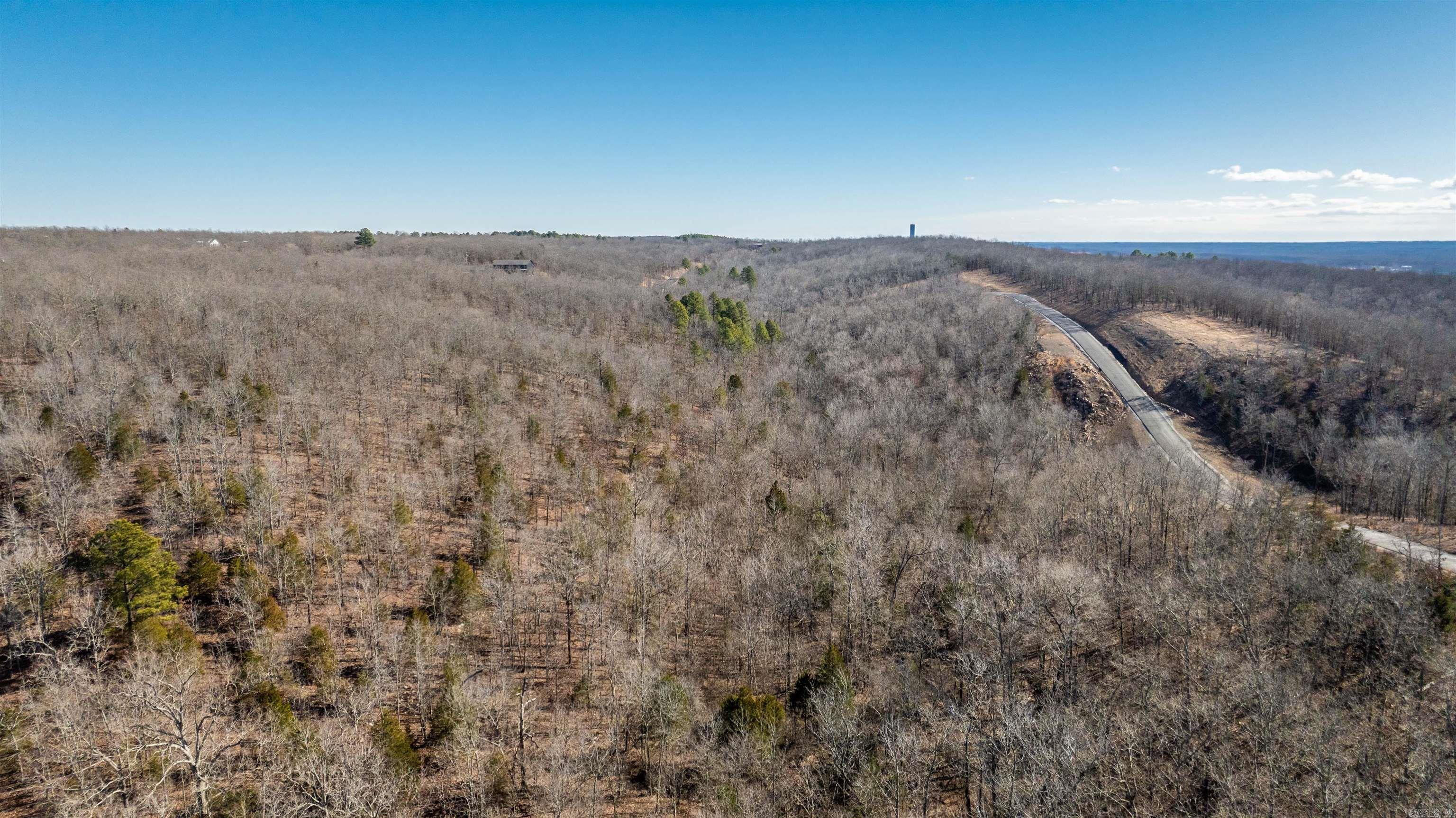 Tract 20 Doris Lewis Lane  Sherwood, AR