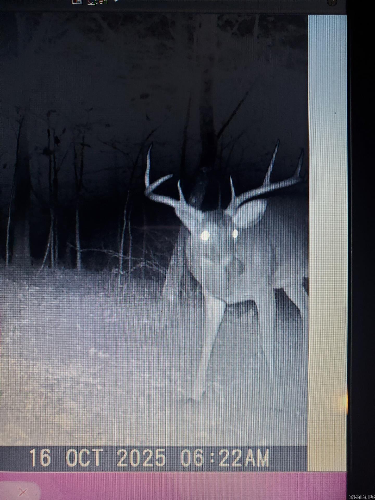  Owens Ward Road  Mountain View, AR