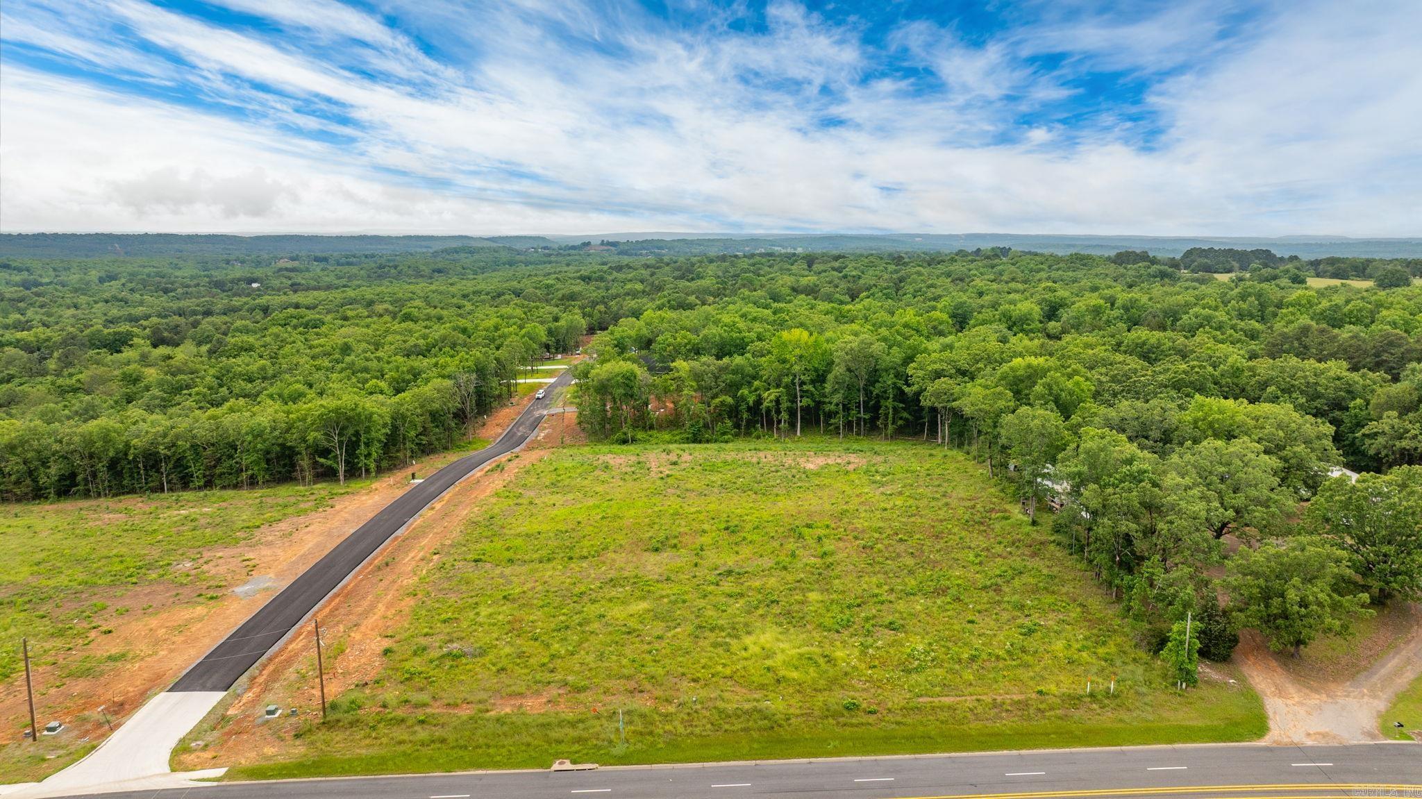 Lot 1 Hwy 65/ Sky Eagle Dr.  Greenbrier, AR