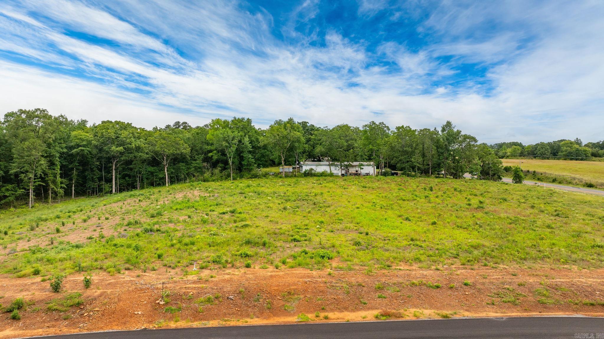 Lot 1 Hwy 65/ Sky Eagle Dr.  Greenbrier, AR