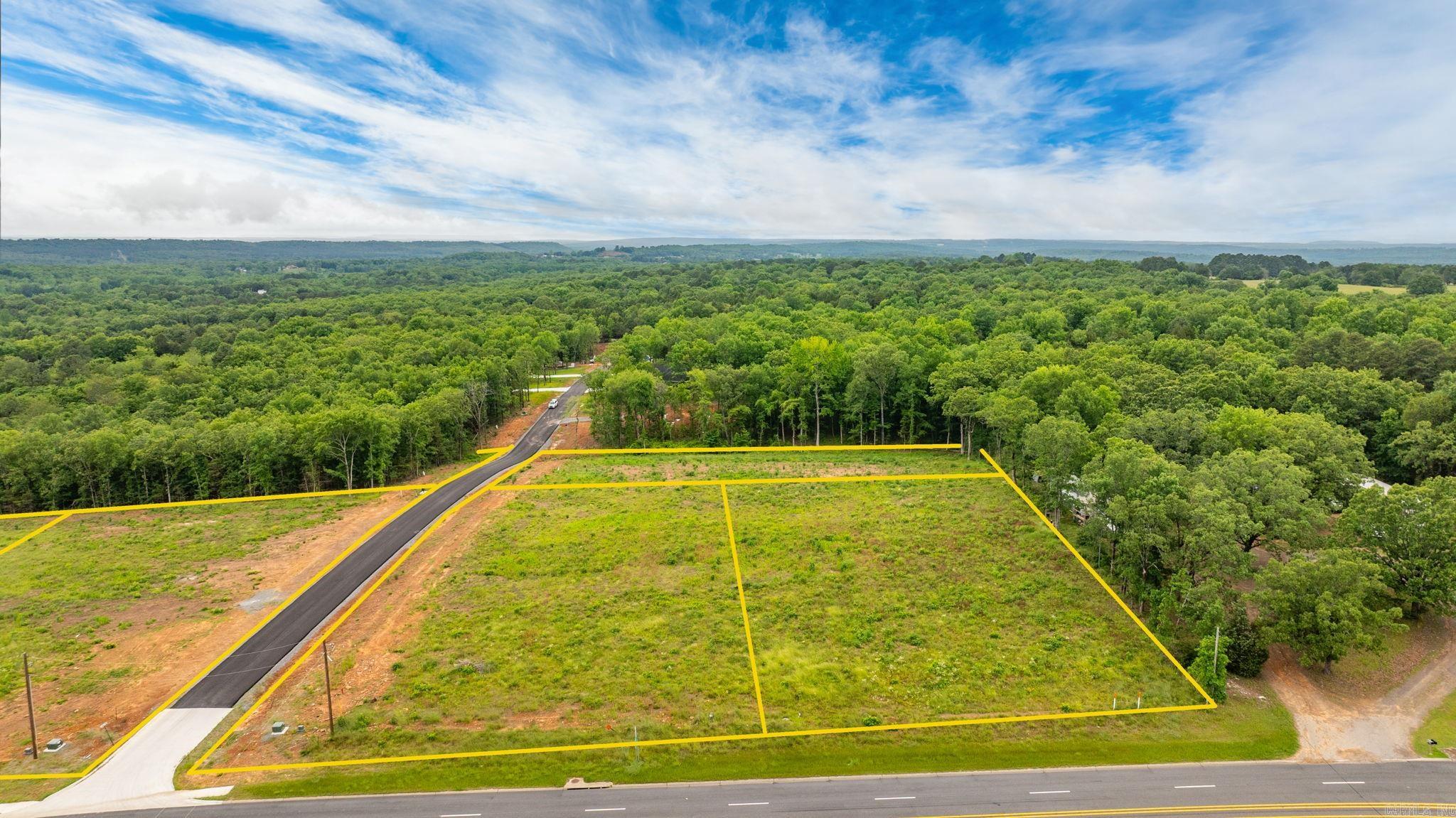 Lot 1 Hwy 65/ Sky Eagle Dr.  Greenbrier, AR