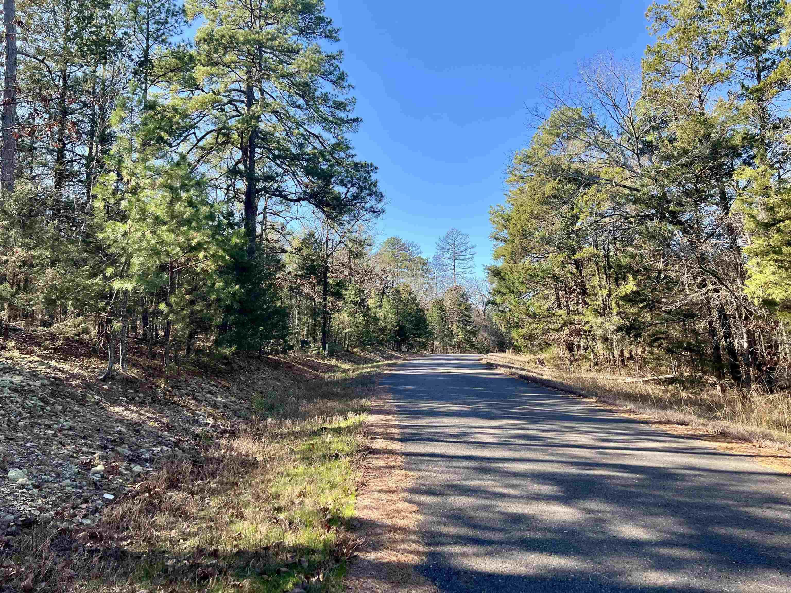 14 Perfecto  Hot Springs Village, AR