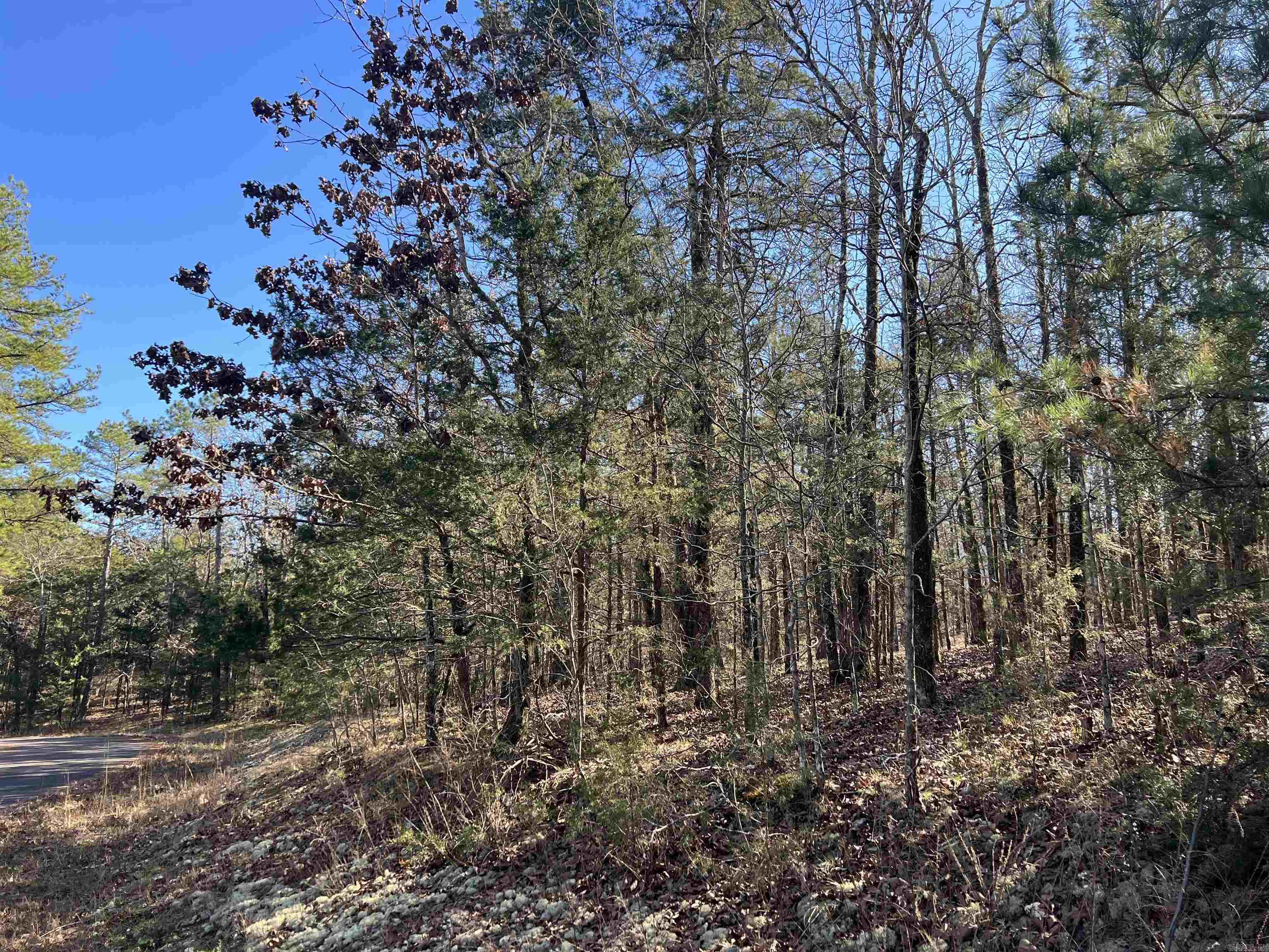 14 Perfecto  Hot Springs Village, AR