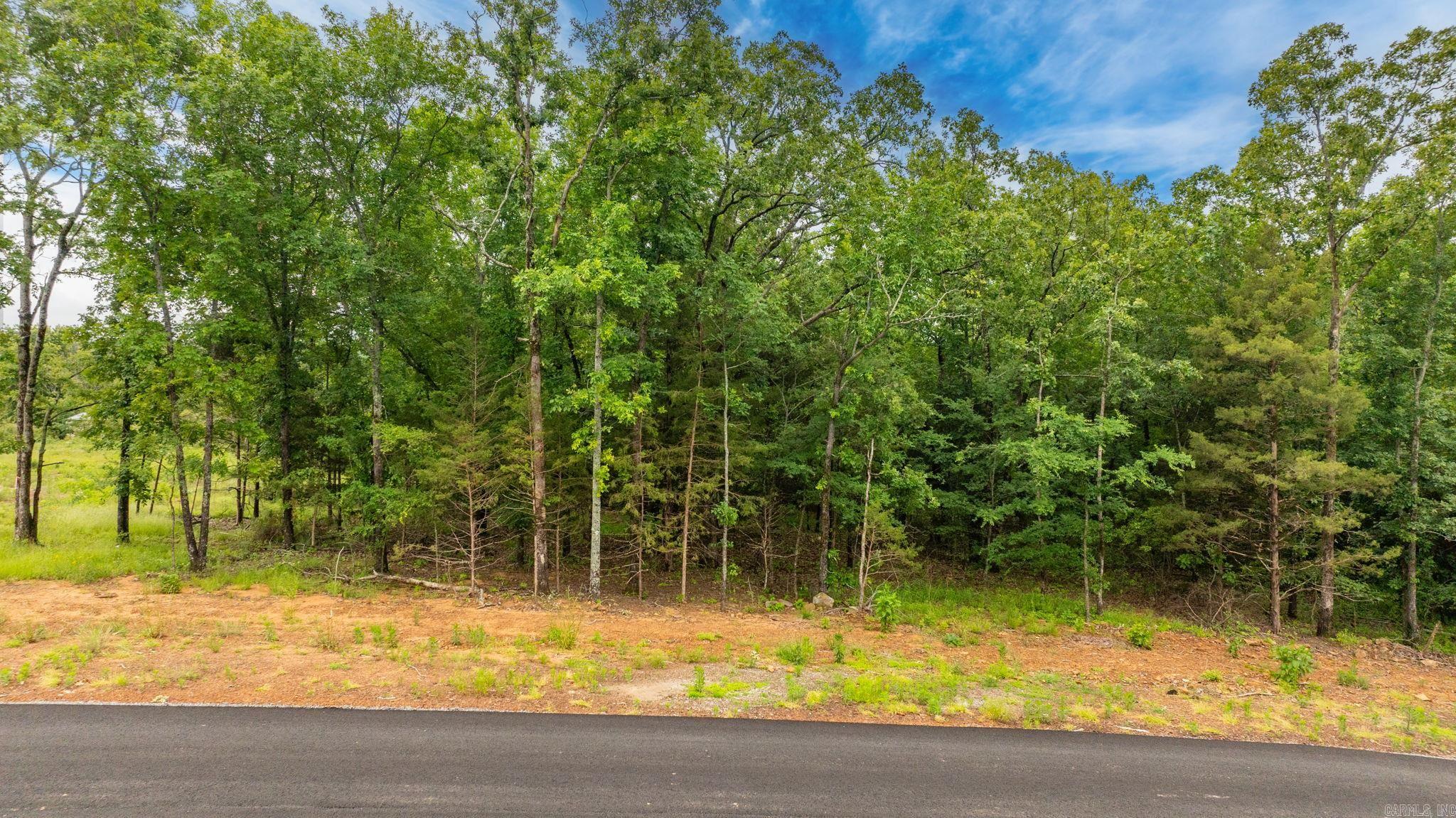 Lot 5 Hwy 65/ Sky Eagle Dr.  Greenbrier, AR