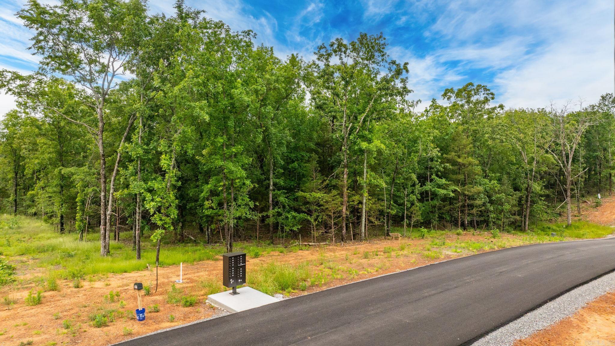 Lot 5 Hwy 65/ Sky Eagle Dr.  Greenbrier, AR