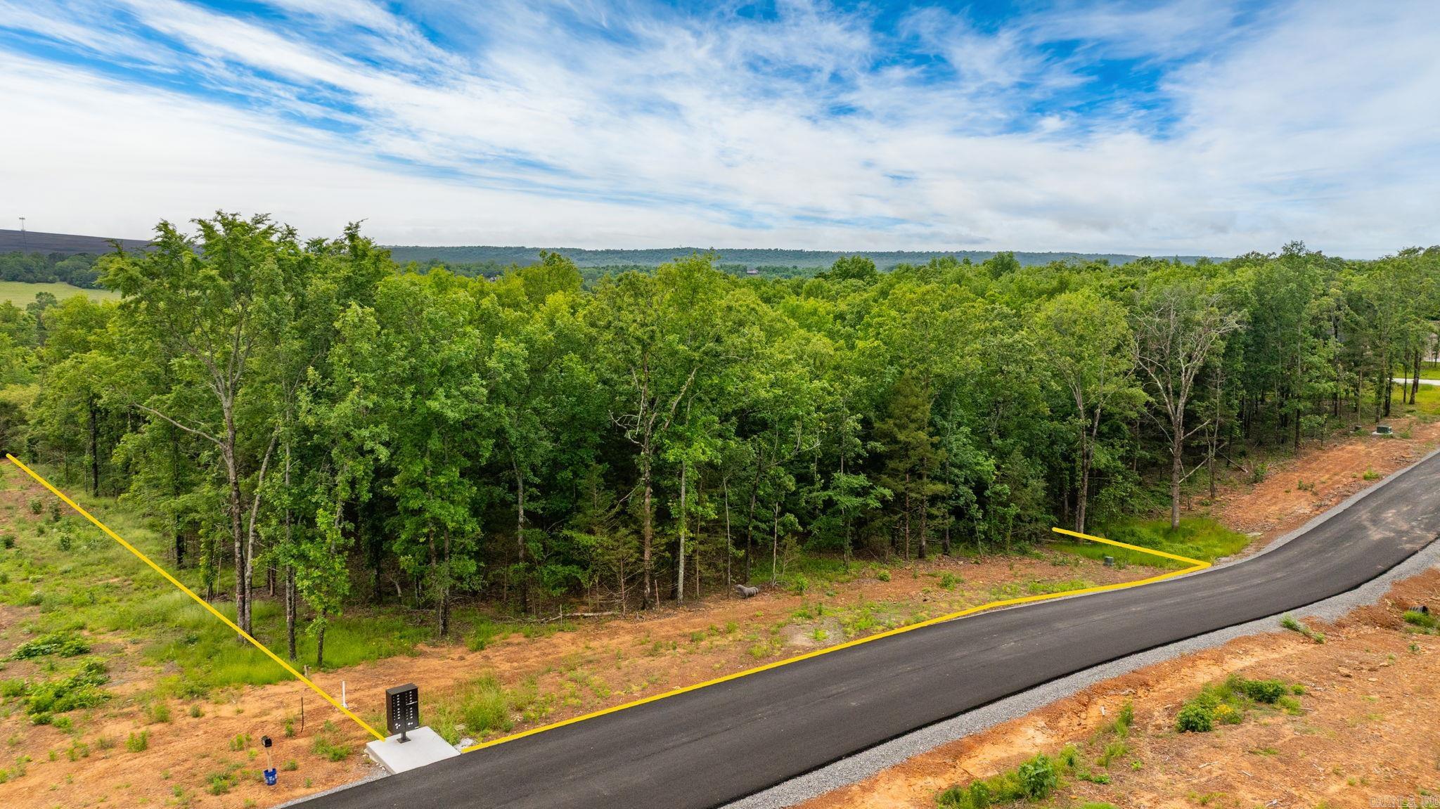 Lot 5 Hwy 65/ Sky Eagle Dr.  Greenbrier, AR