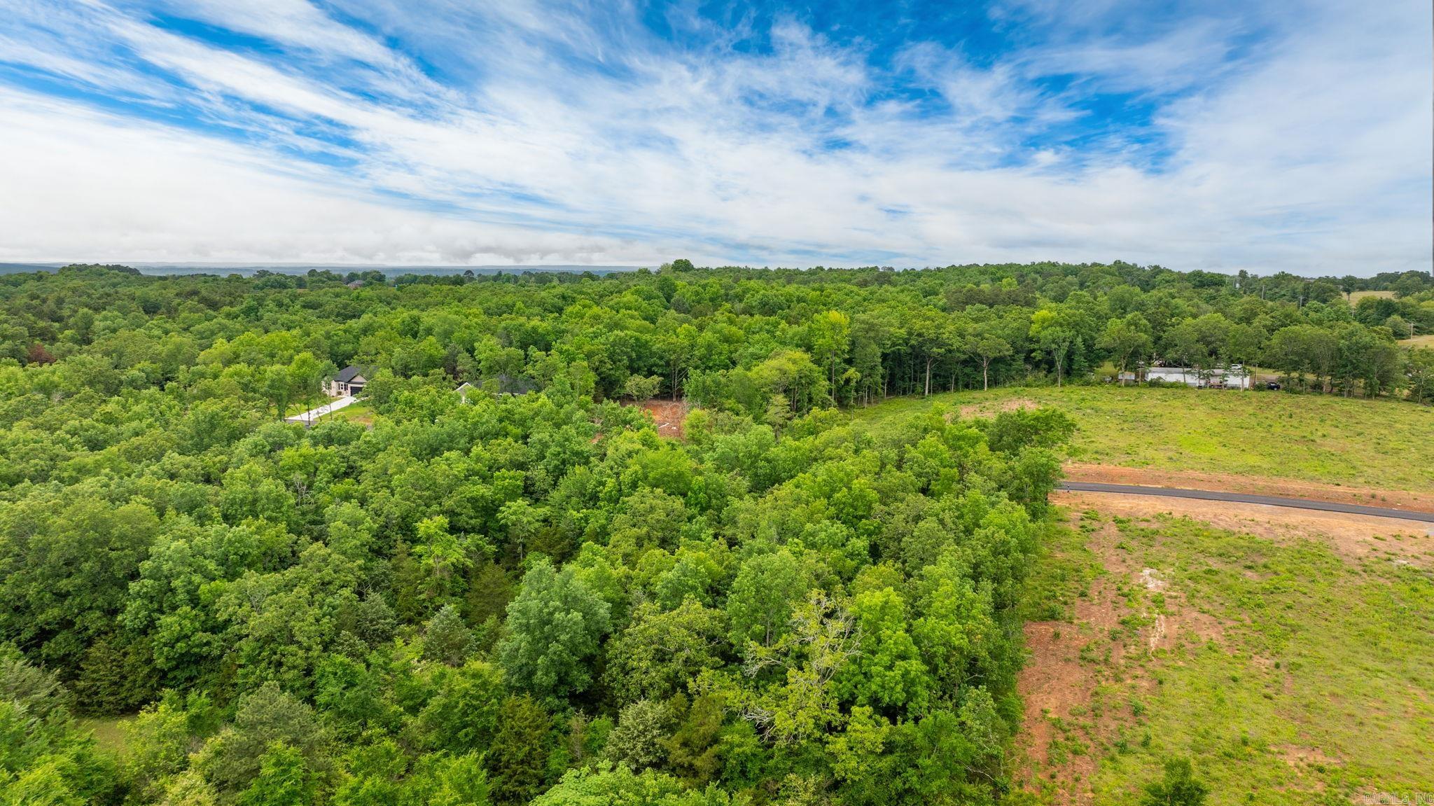 Lot 5 Hwy 65/ Sky Eagle Dr.  Greenbrier, AR
