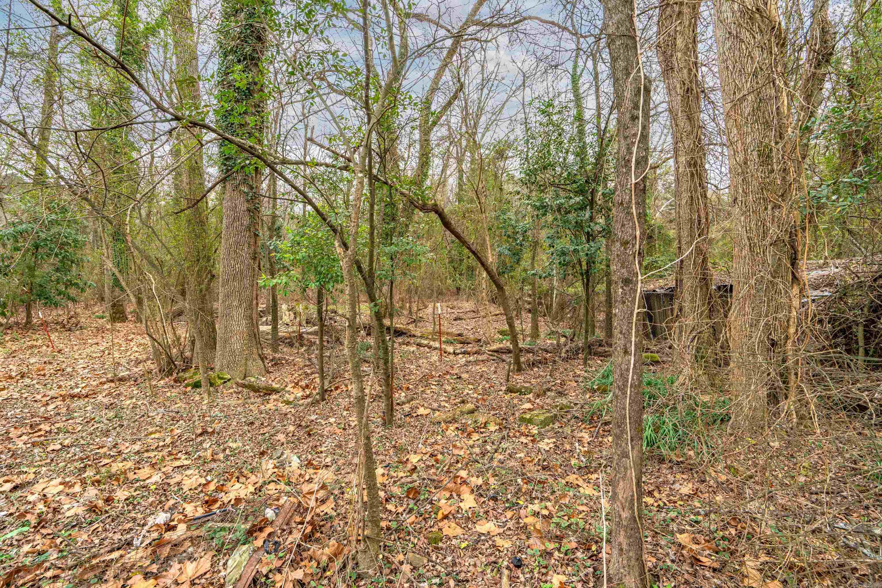 413 Whittington  Hot Springs, AR