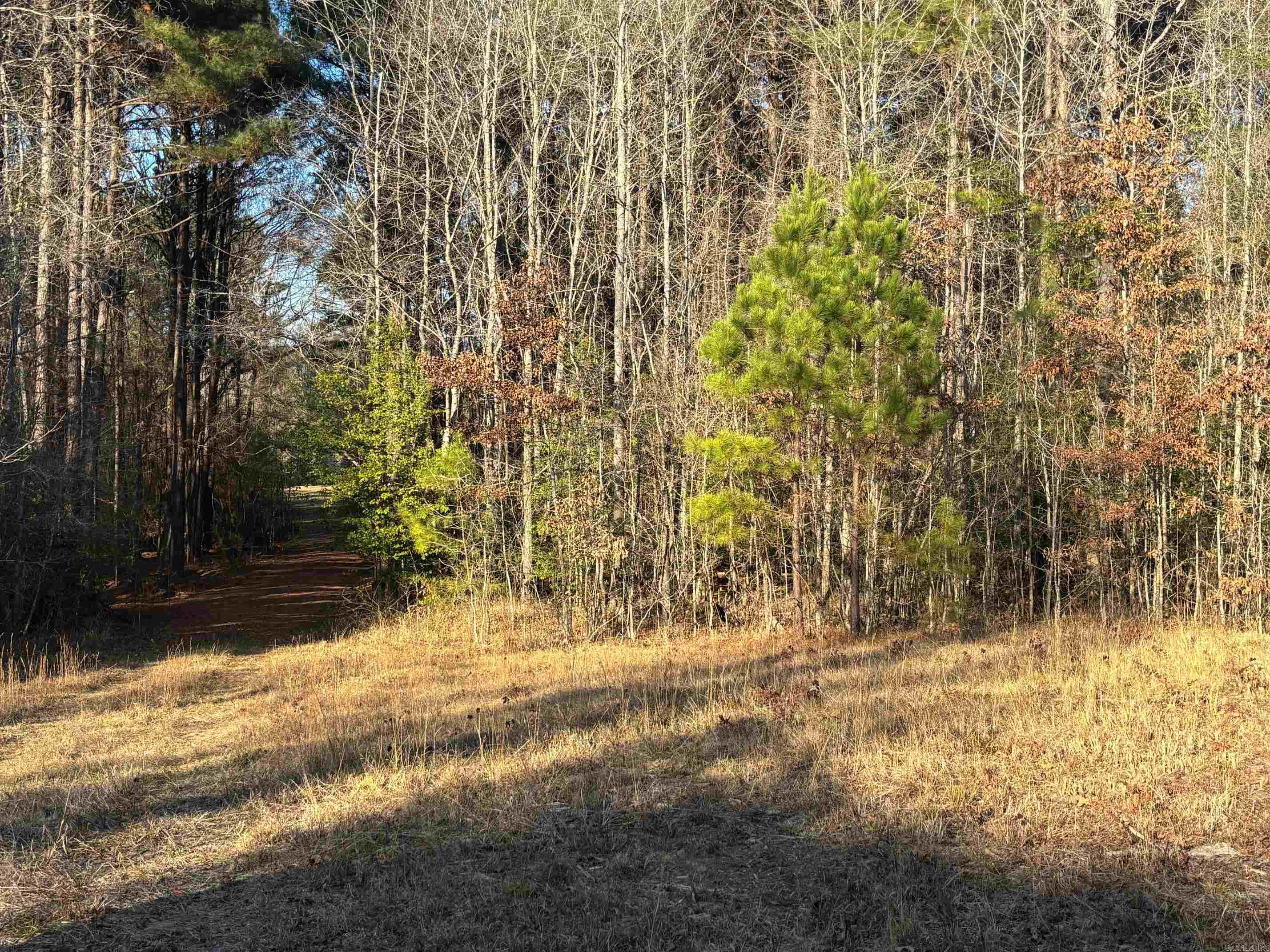 183 Grant 49  Sheridan, AR