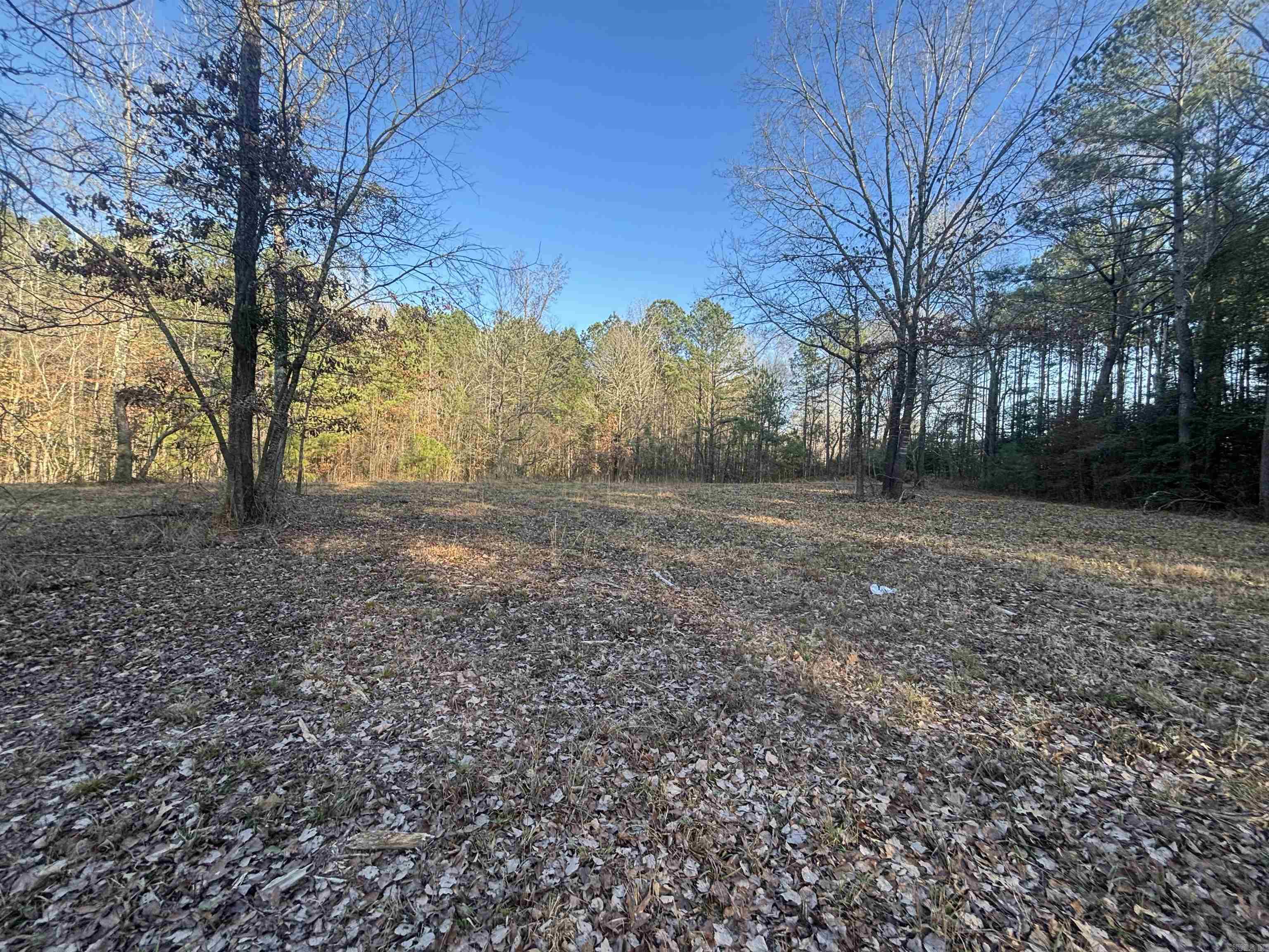 183 Grant 49  Sheridan, AR