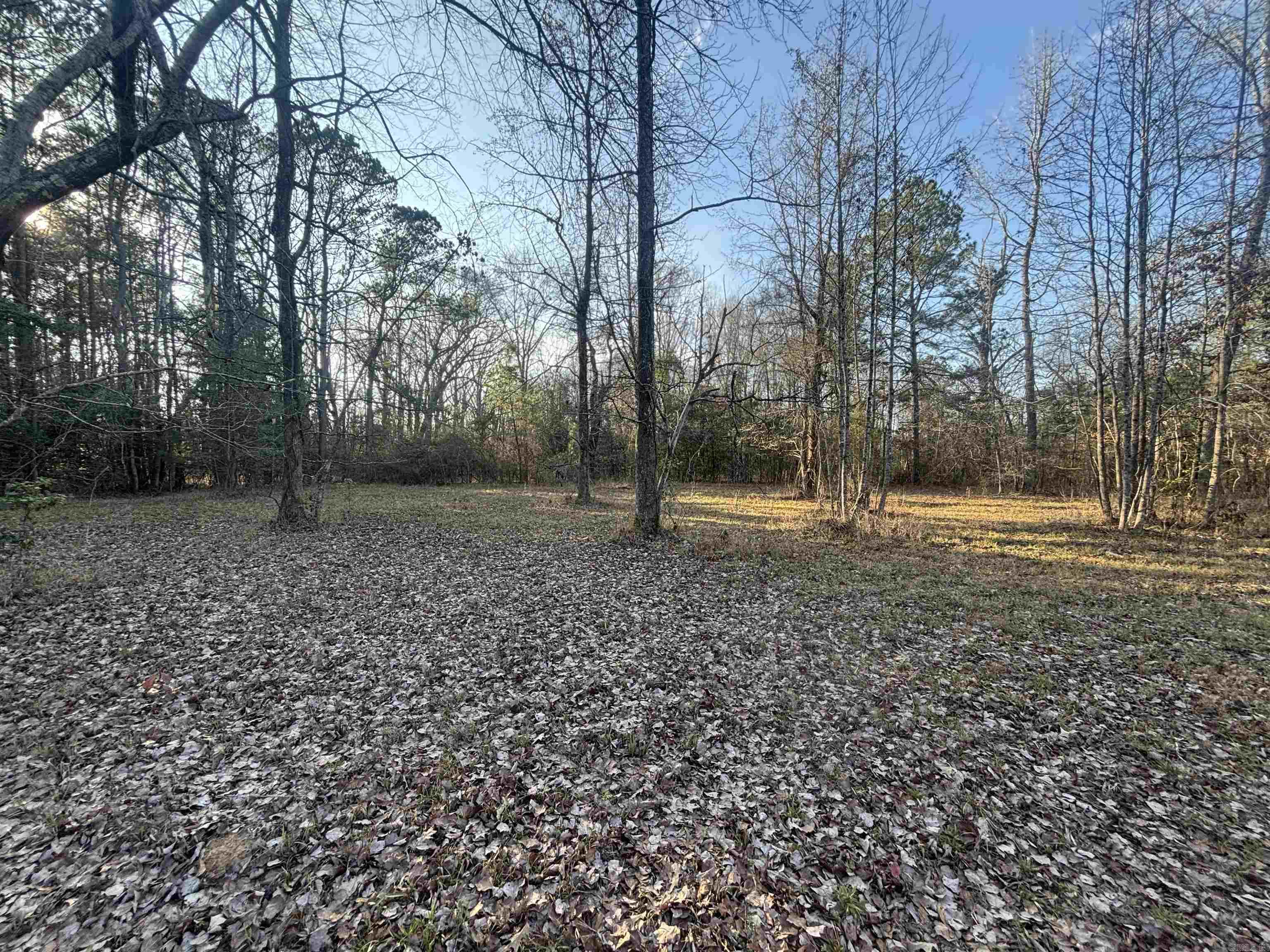 183 Grant 49  Sheridan, AR