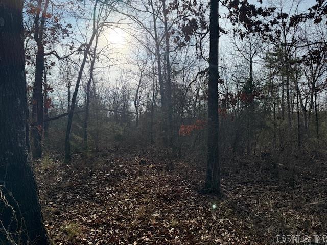  JOHNSON COUNTY ROAD 3883  Lutherville, AR