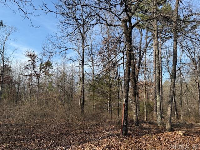  JOHNSON COUNTY ROAD 3883  Lutherville, AR