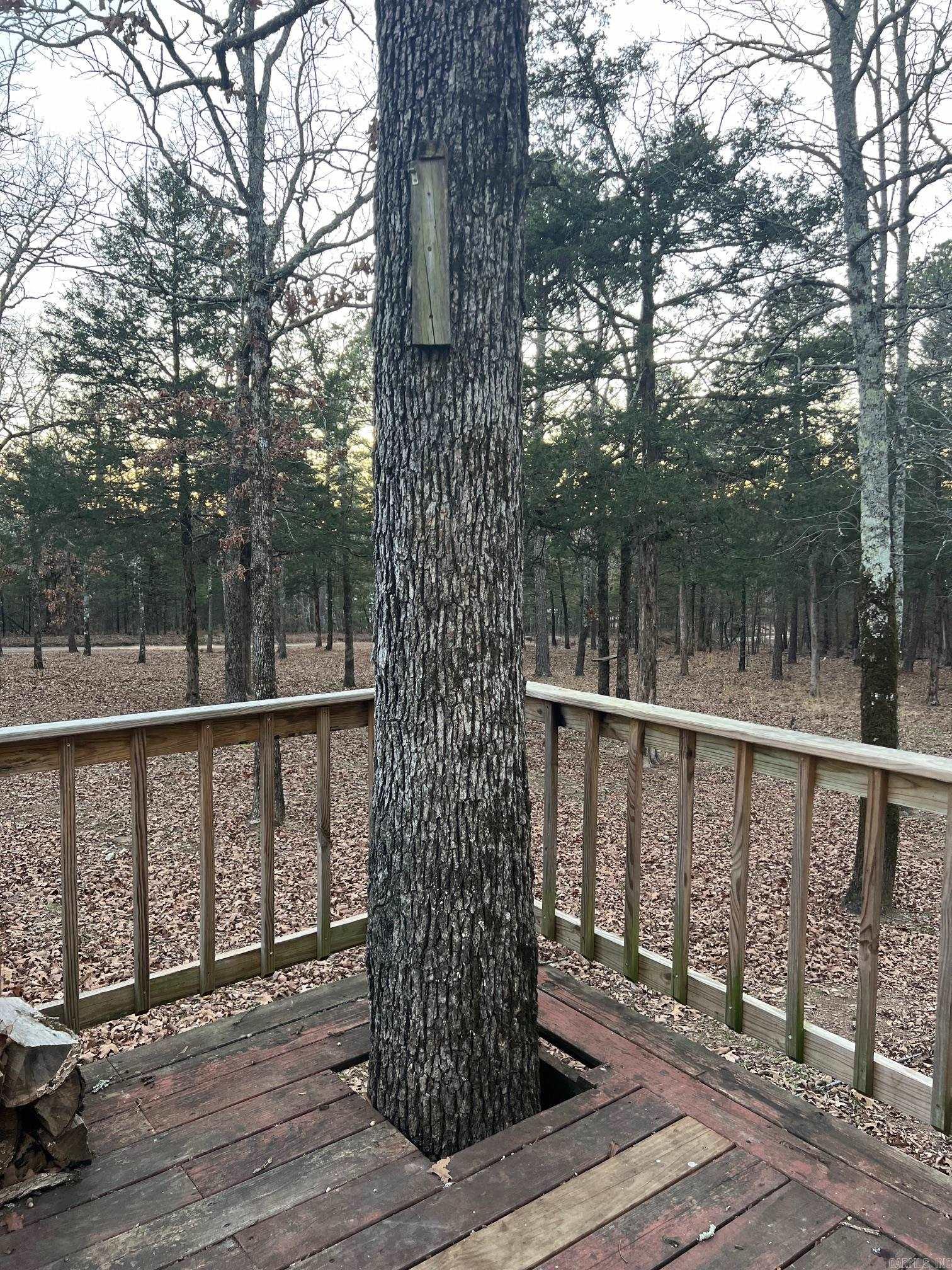 351 Grady  Shirley, AR