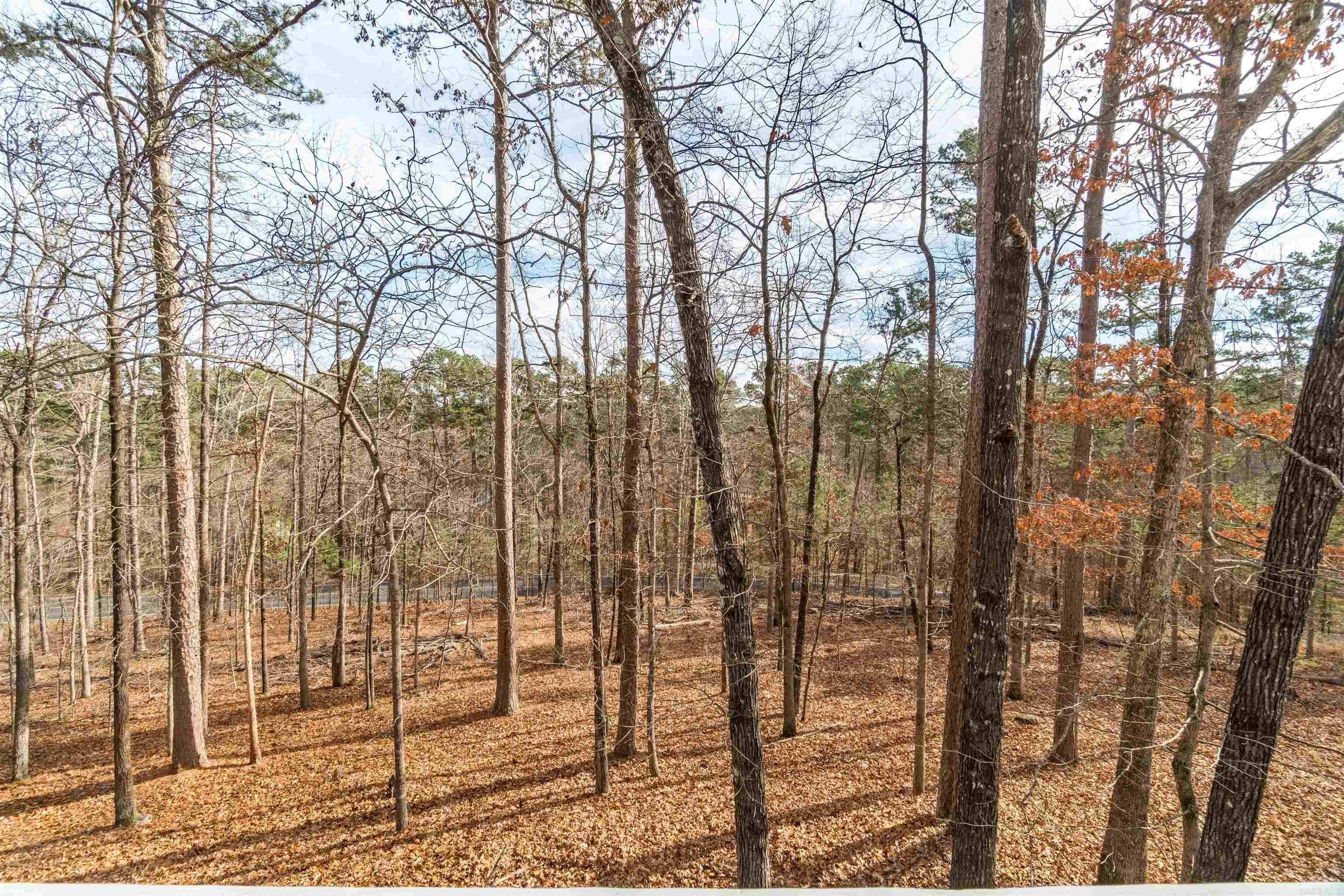 27 Malaga Circle Hot Springs Village, AR 71909-9999