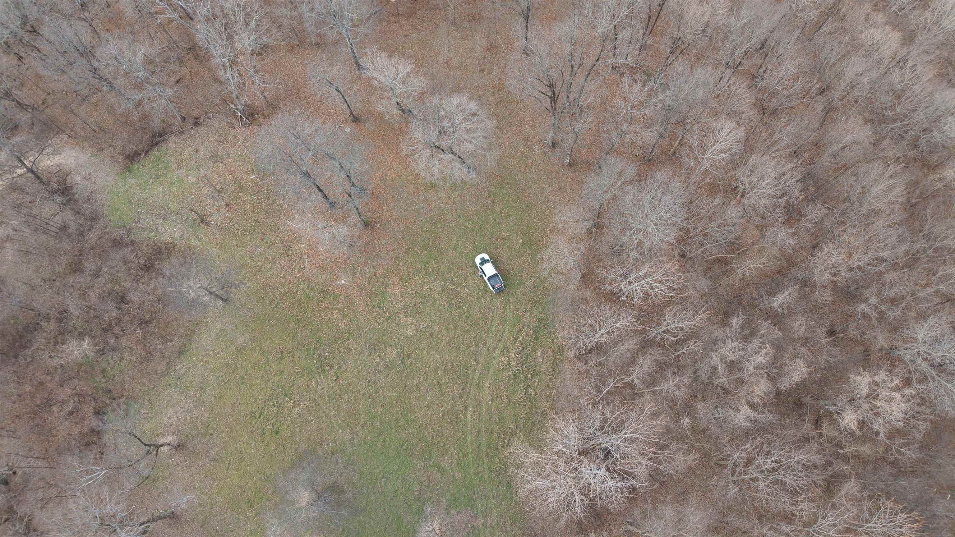 71A Love Hollow  Mount Pleasant, AR