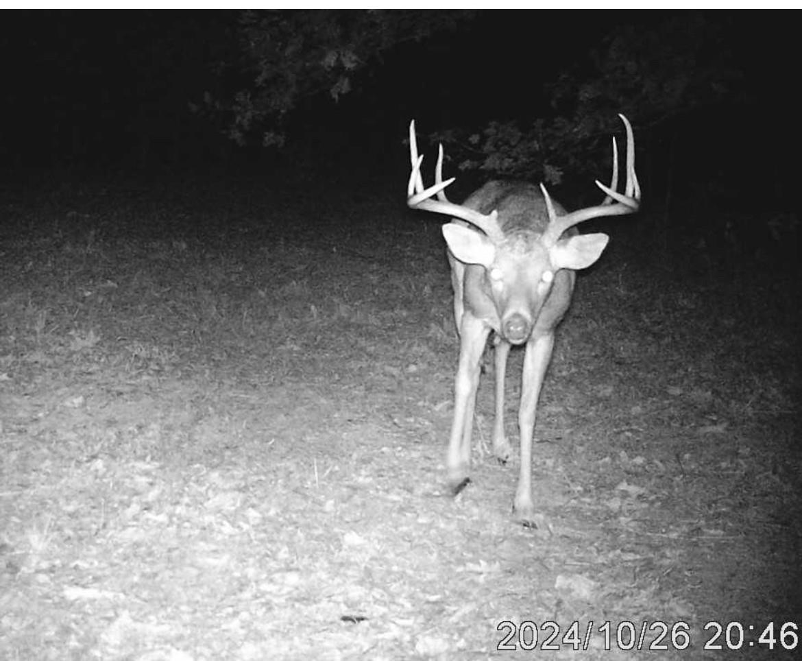 71A Love Hollow  Mount Pleasant, AR