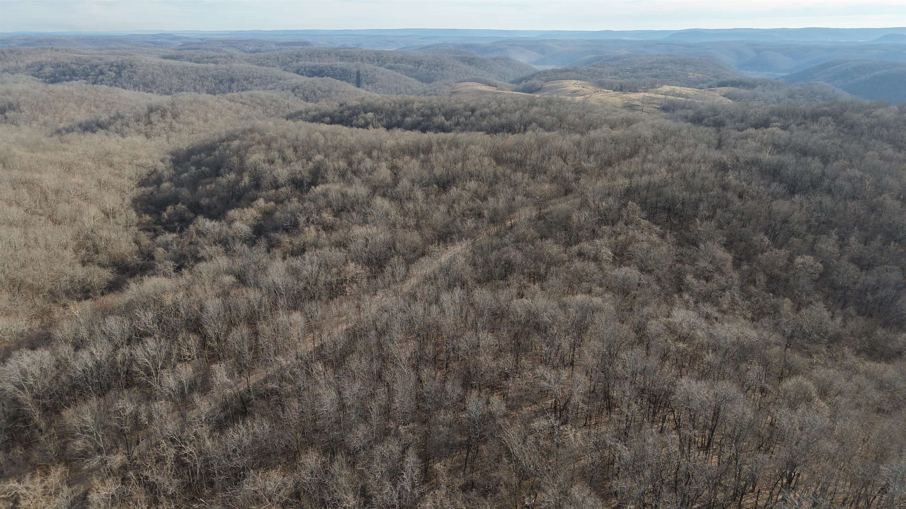 71A Love Hollow  Mount Pleasant, AR