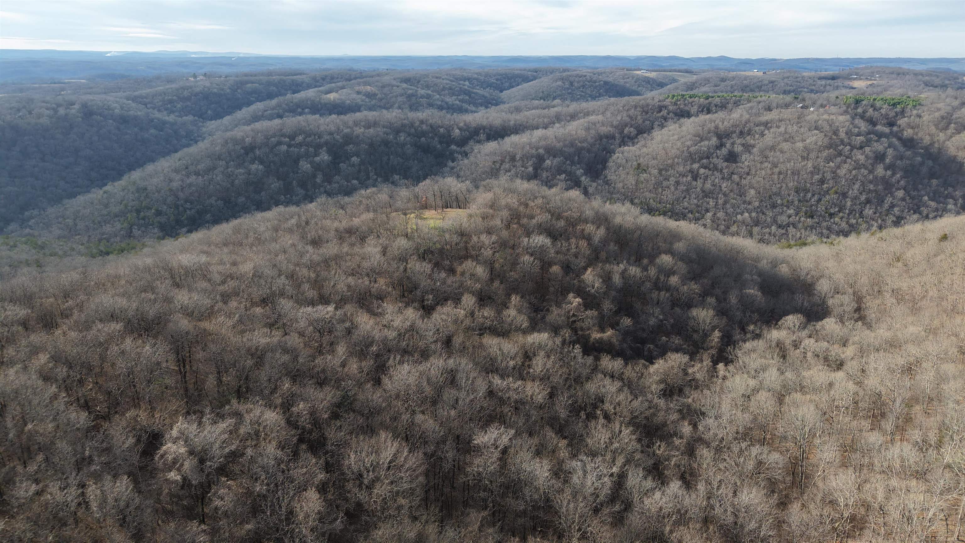 71A Love Hollow  Mount Pleasant, AR