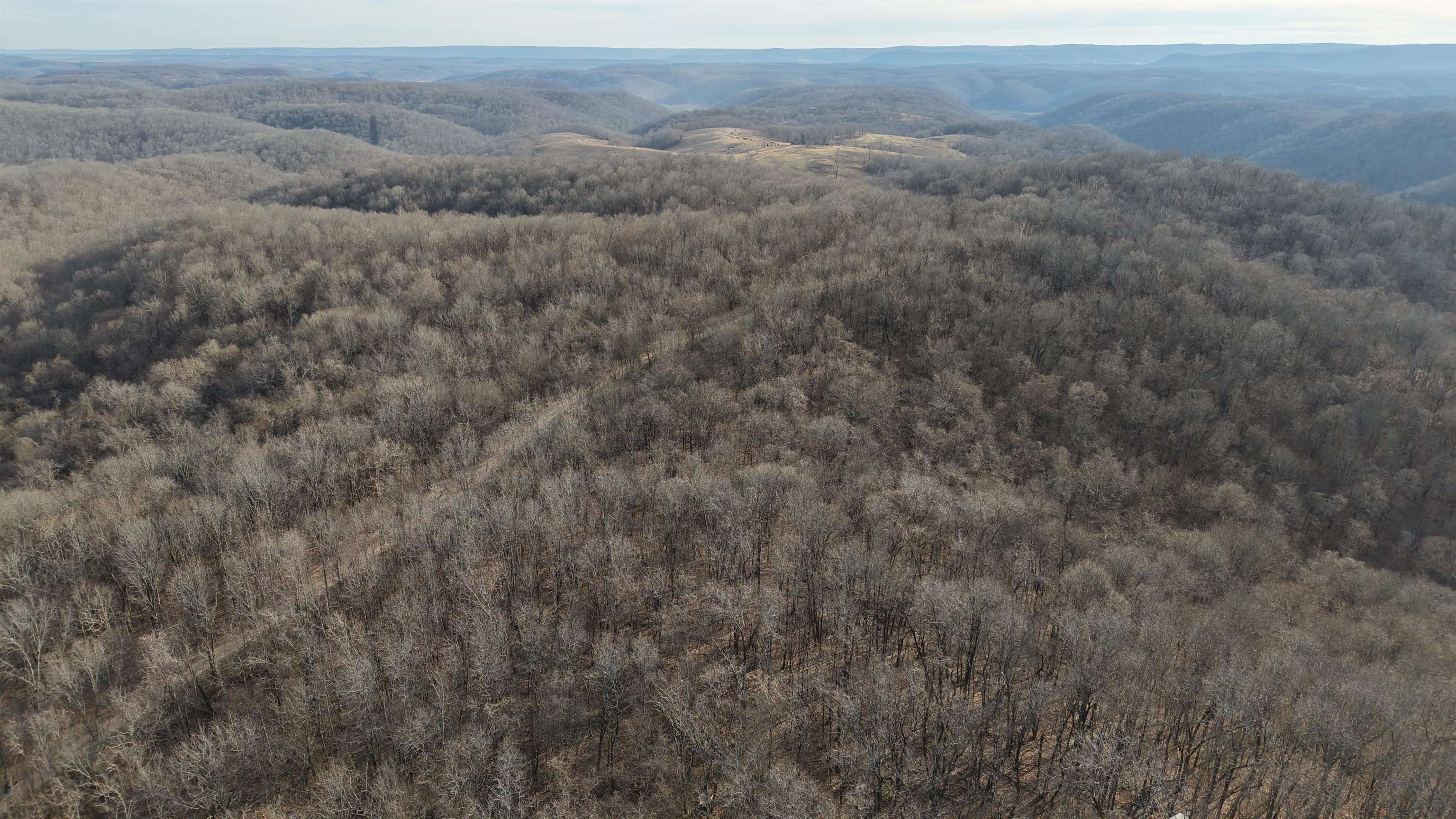 71A Love Hollow  Mount Pleasant, AR