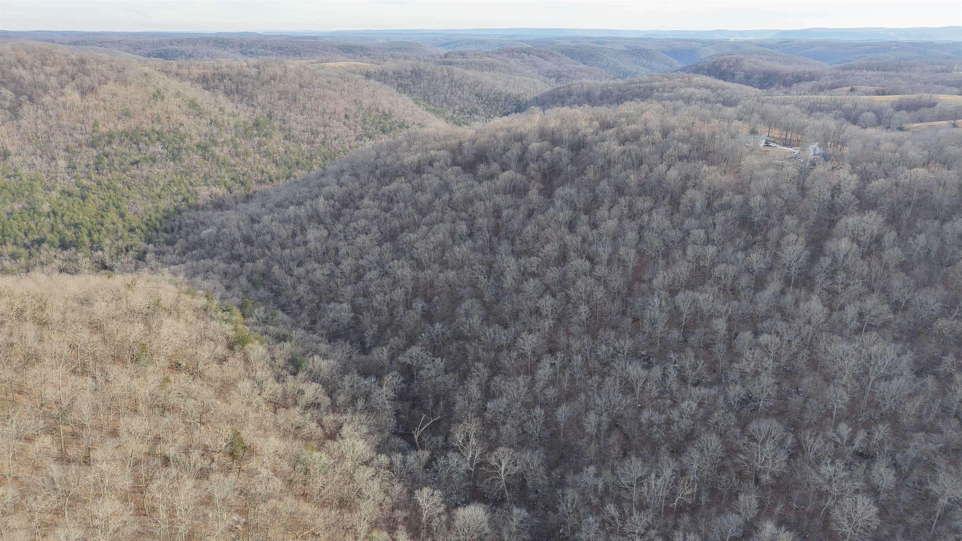 71A Love Hollow  Mount Pleasant, AR