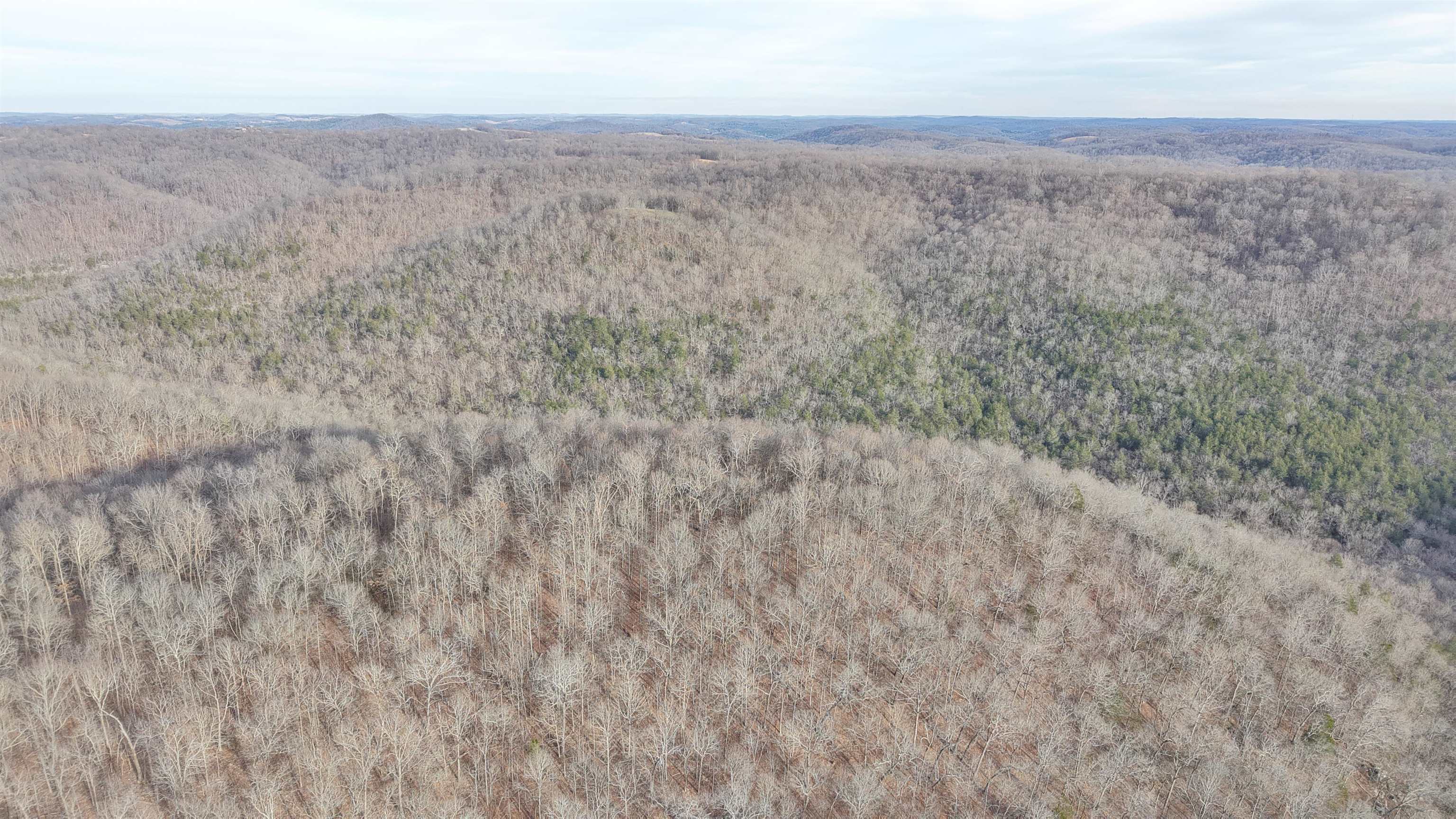 71A Love Hollow  Mount Pleasant, AR