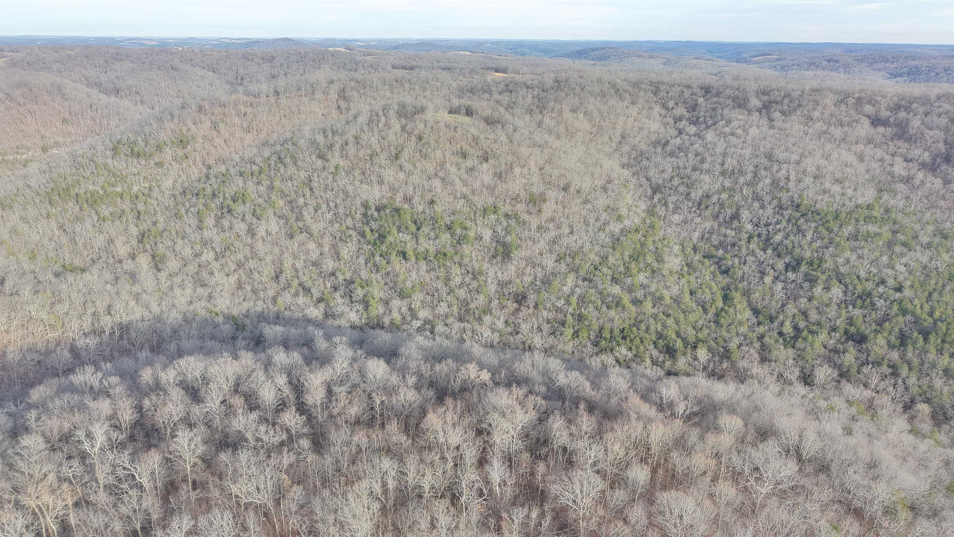 71A Love Hollow  Mount Pleasant, AR