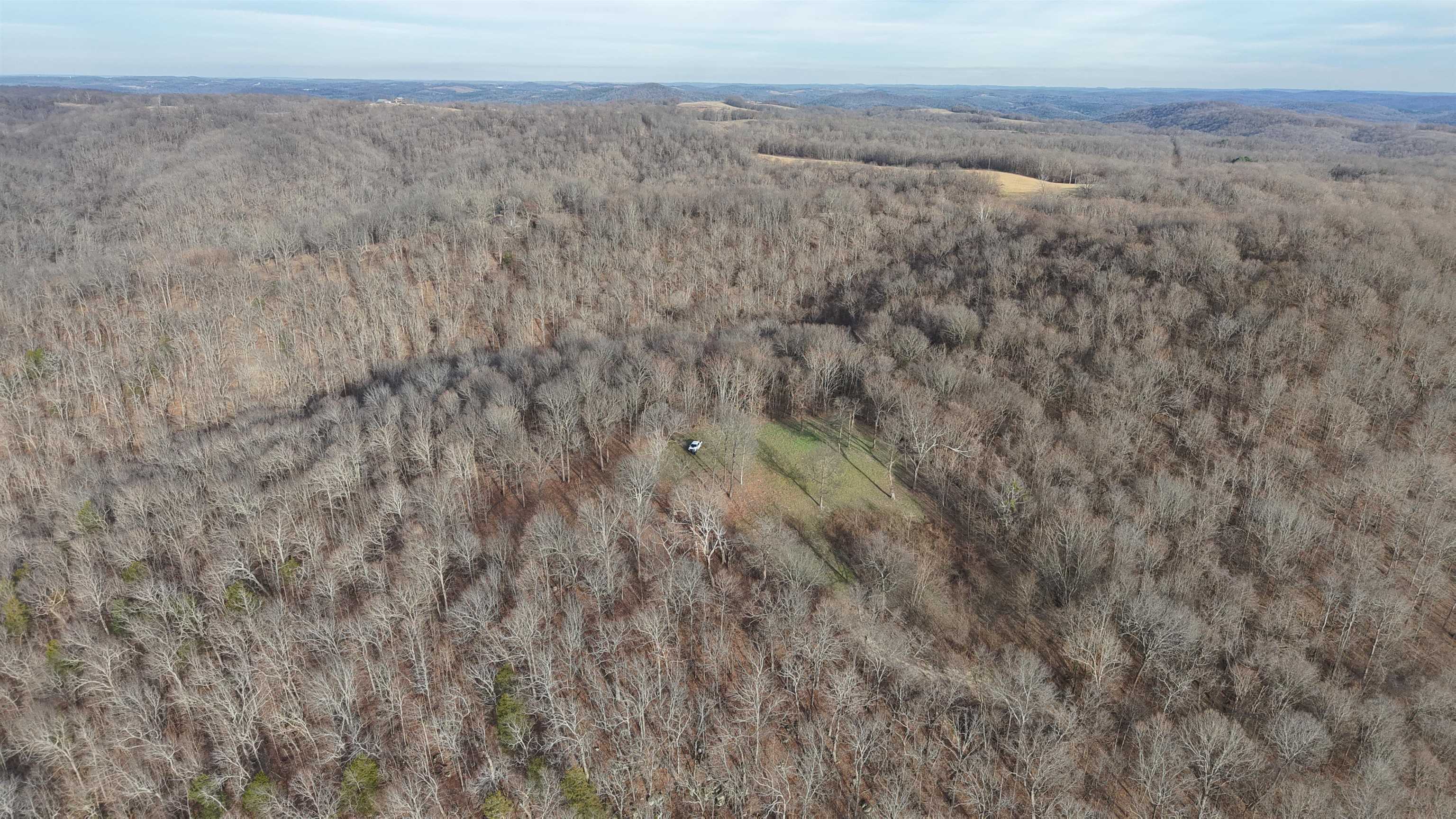 71A Love Hollow  Mount Pleasant, AR