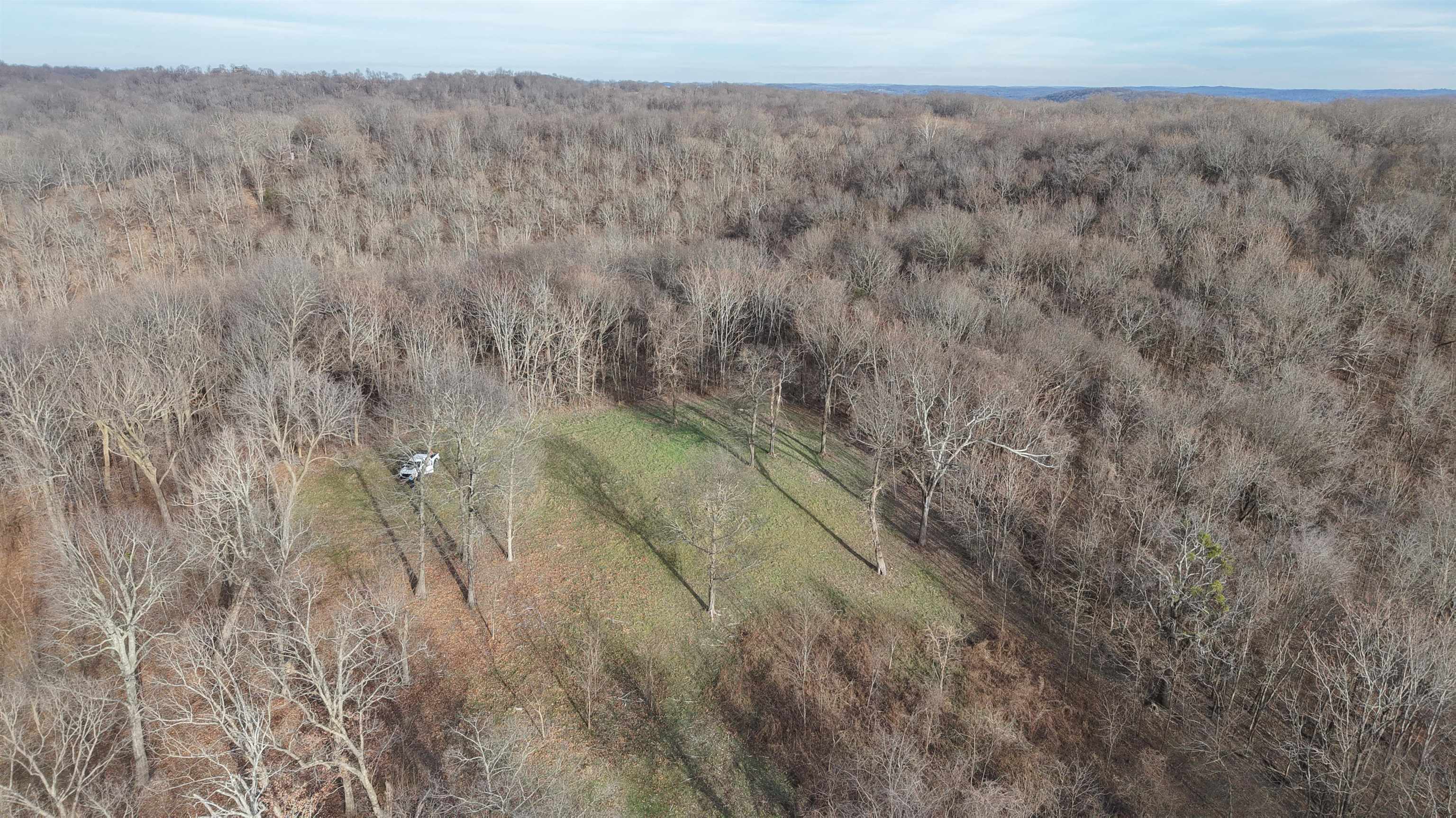 71A Love Hollow  Mount Pleasant, AR