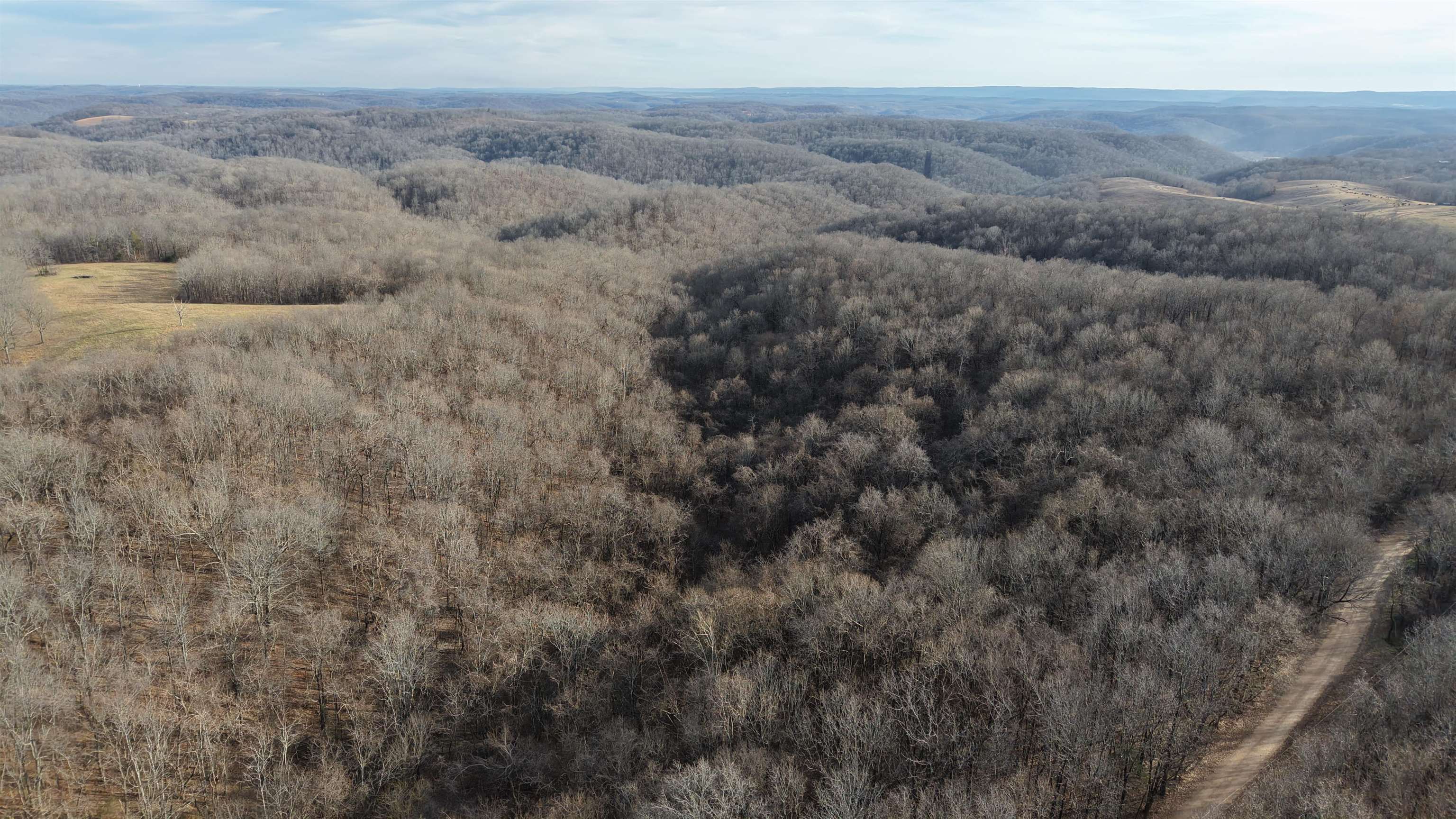 71A Love Hollow  Mount Pleasant, AR