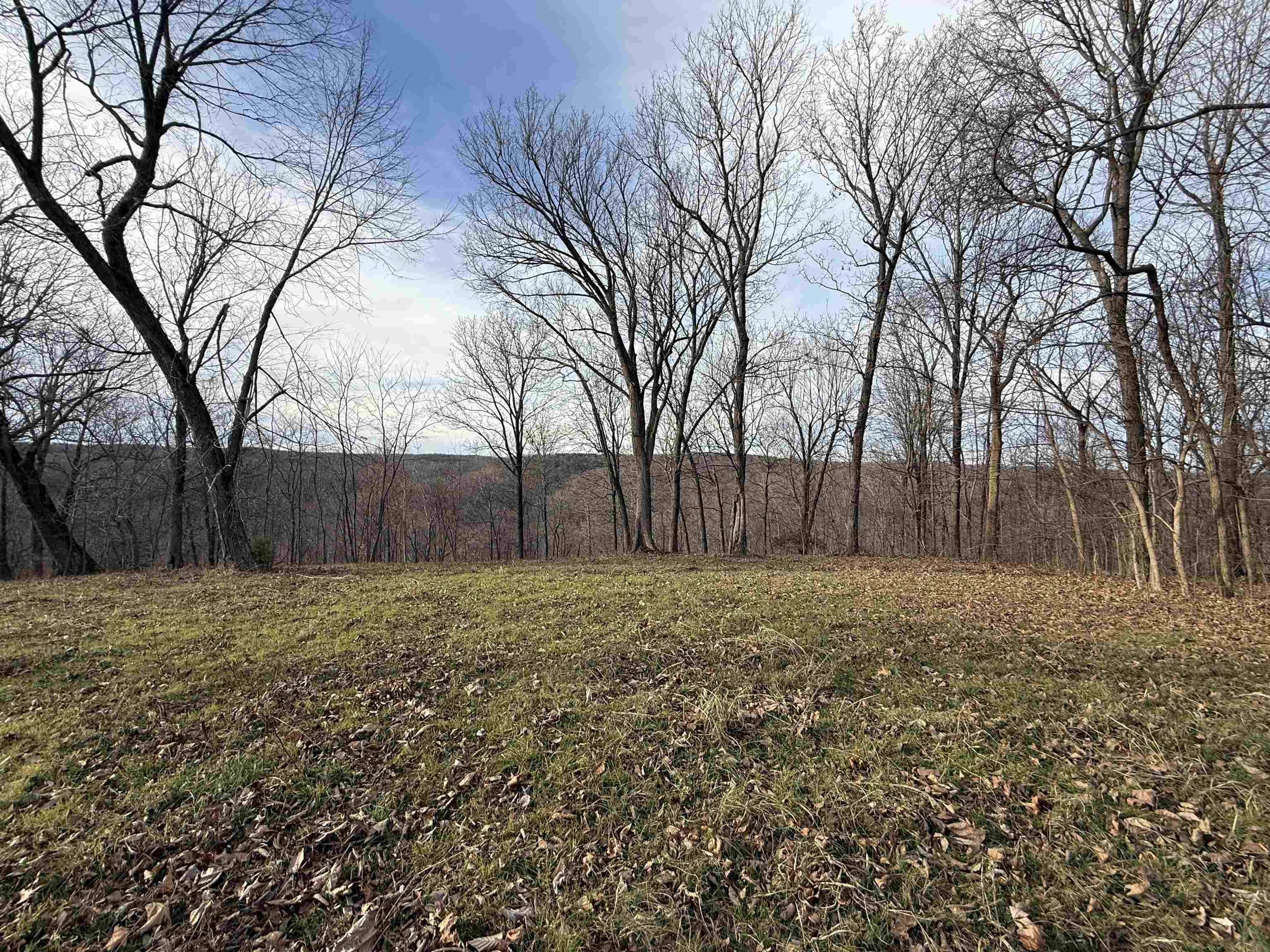 71A Love Hollow  Mount Pleasant, AR