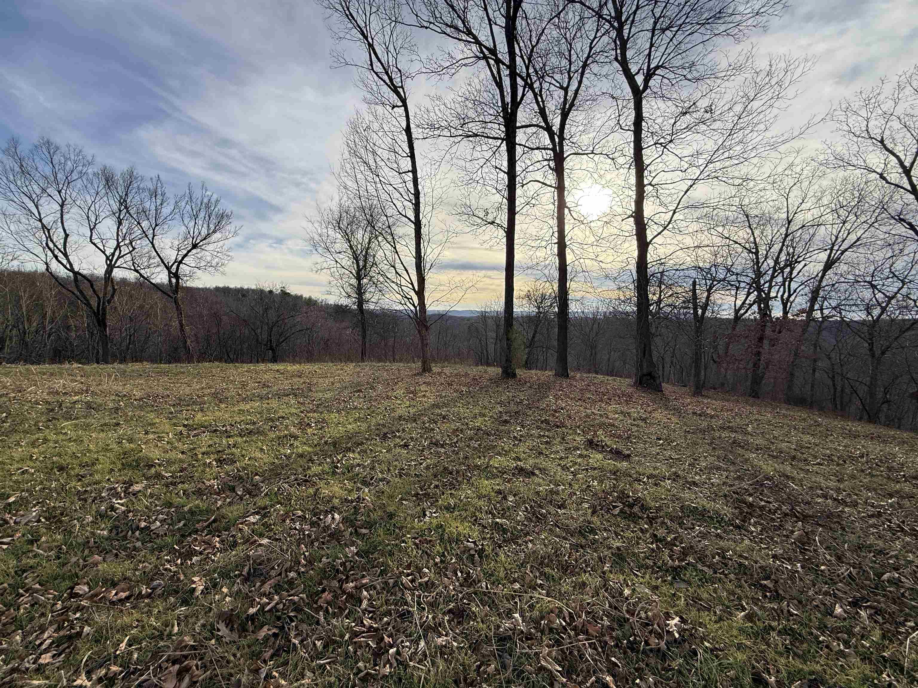 71A Love Hollow  Mount Pleasant, AR