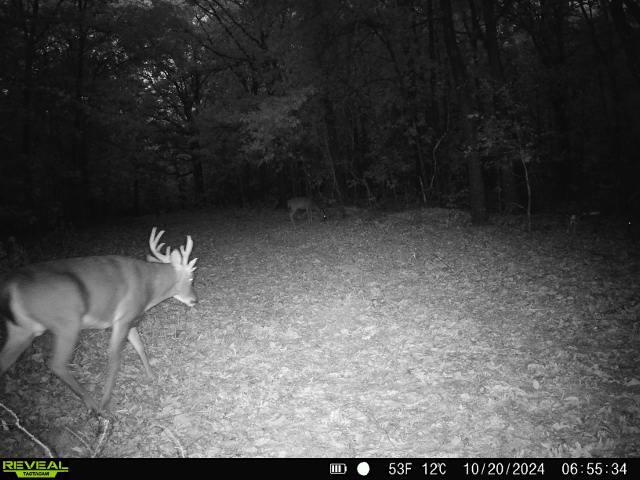 71A Love Hollow  Mount Pleasant, AR