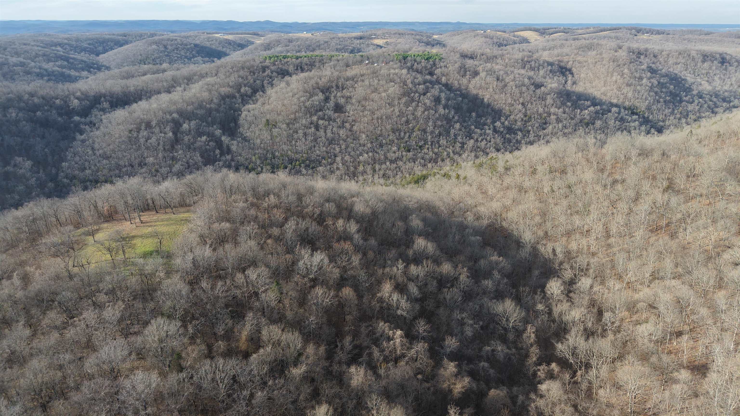 71A Love Hollow  Mount Pleasant, AR