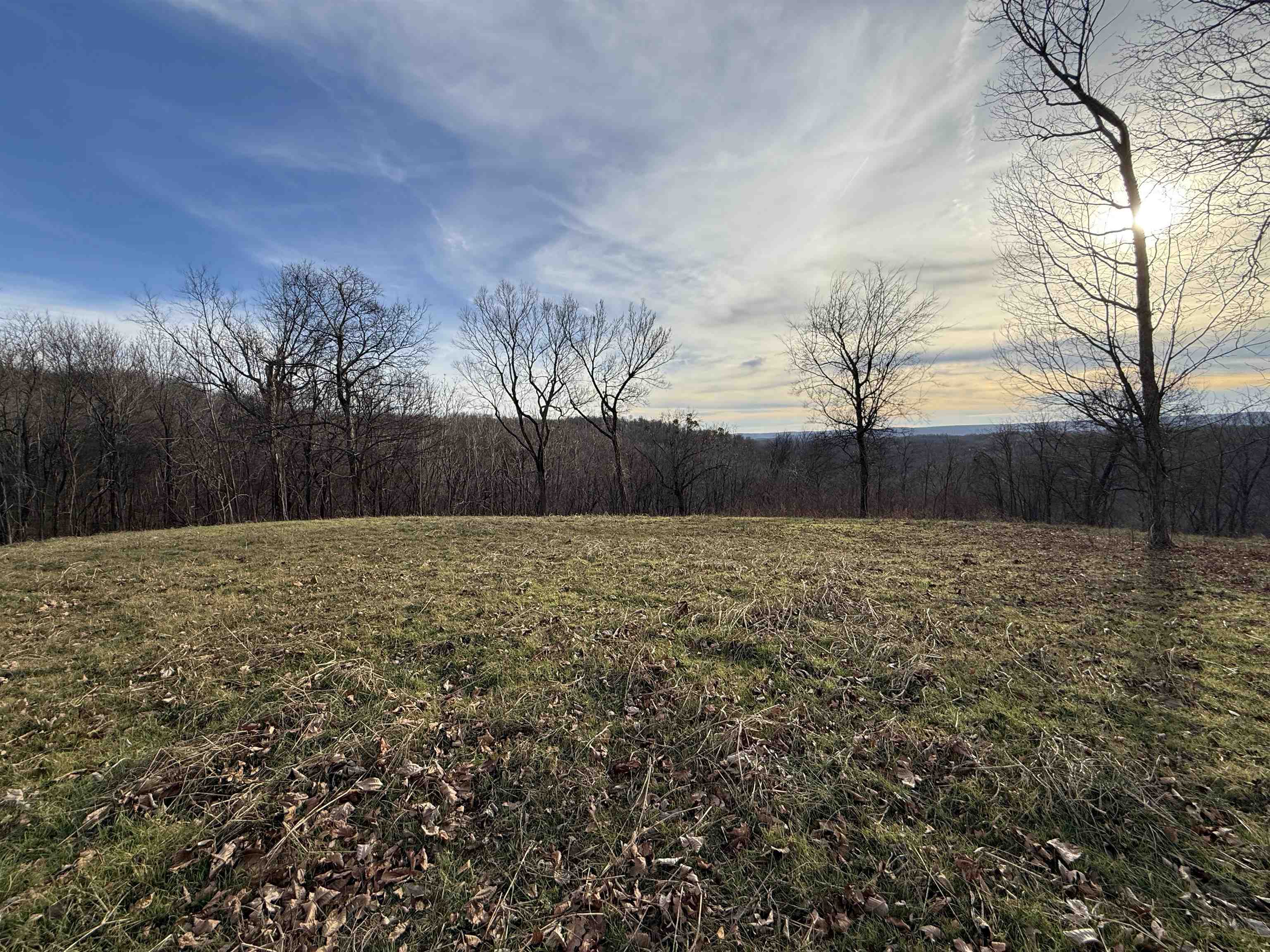 71A Love Hollow  Mount Pleasant, AR