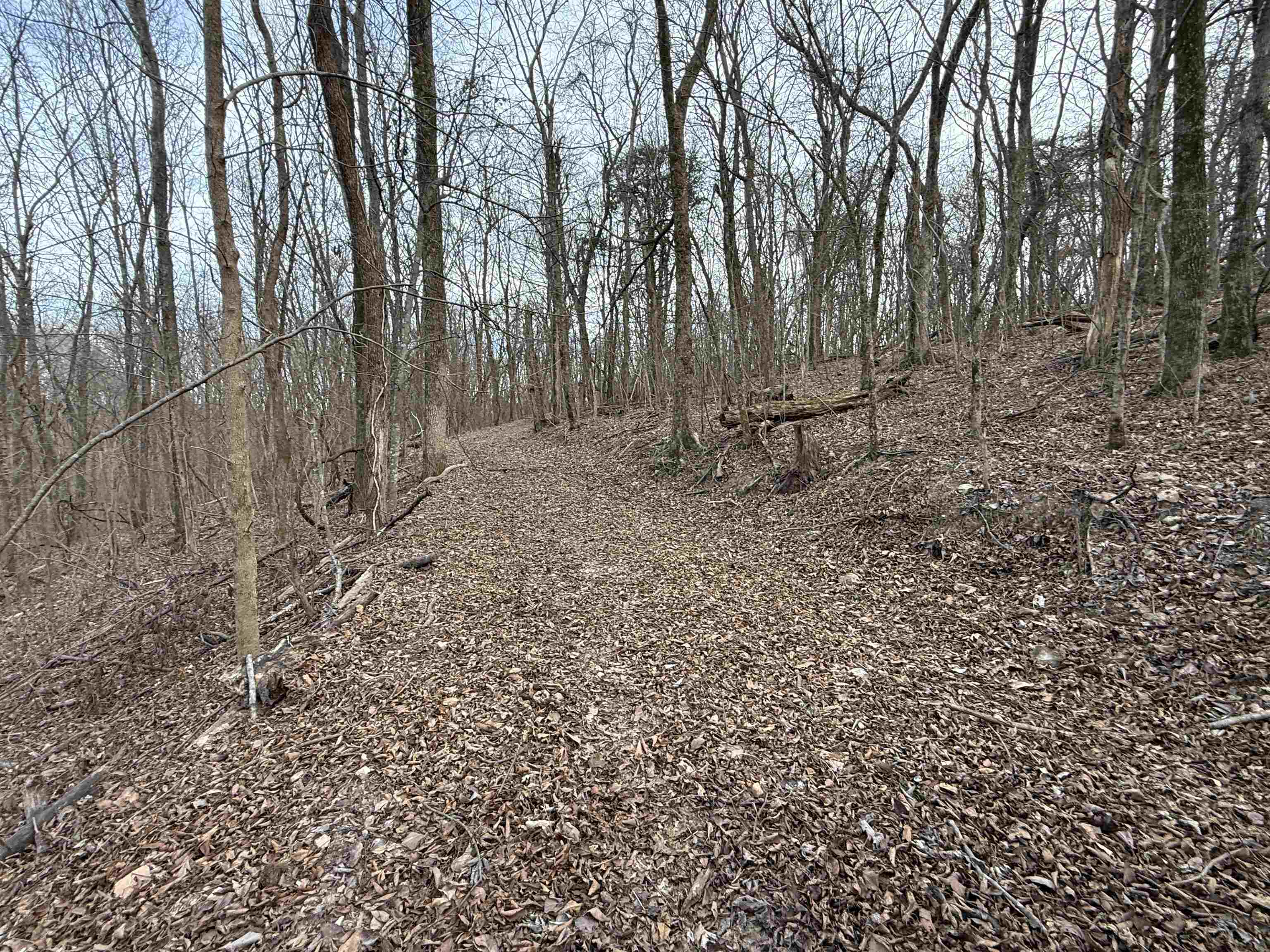 71A Love Hollow  Mount Pleasant, AR