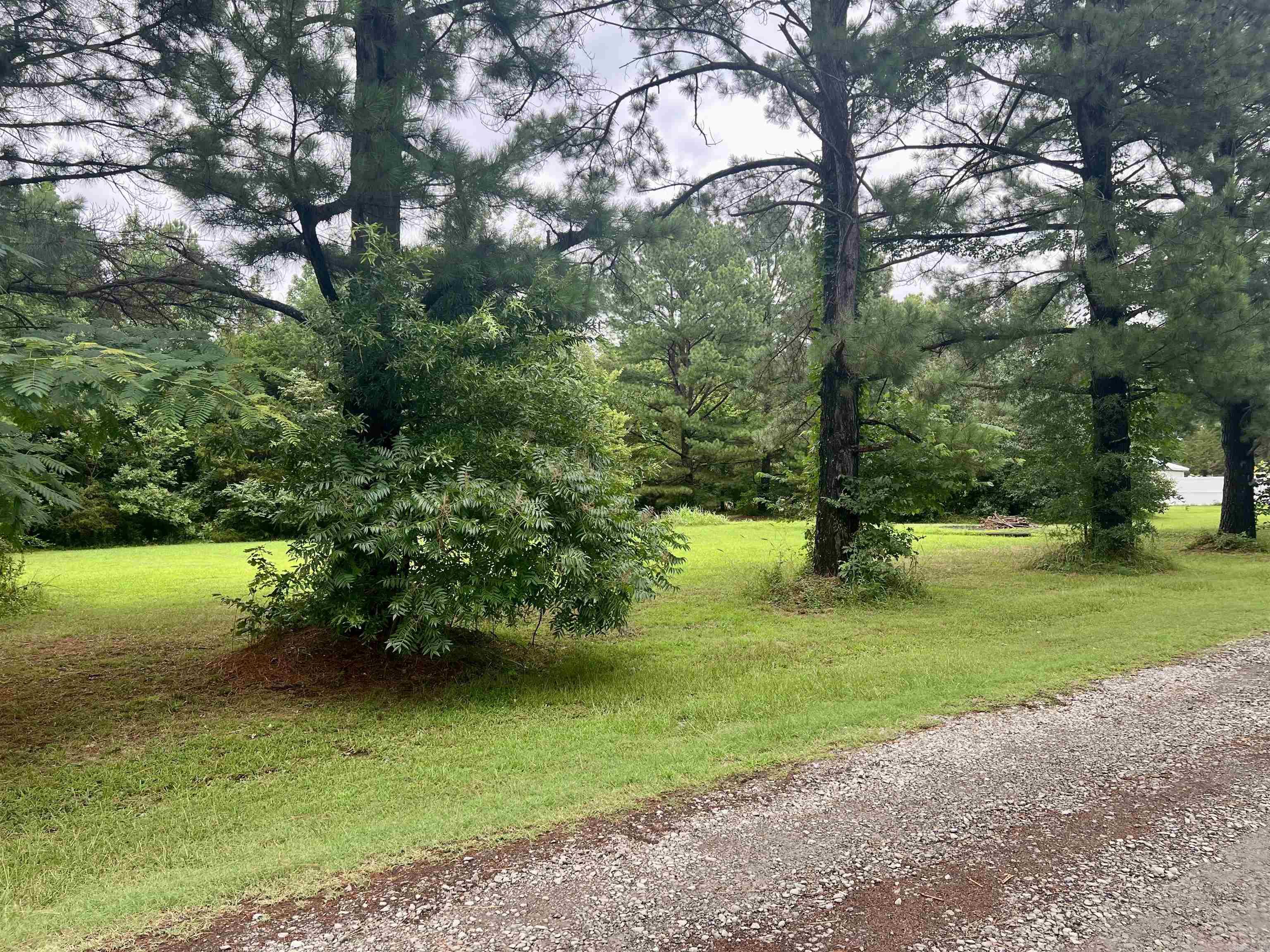 100 Mountain Side  Pangburn, AR