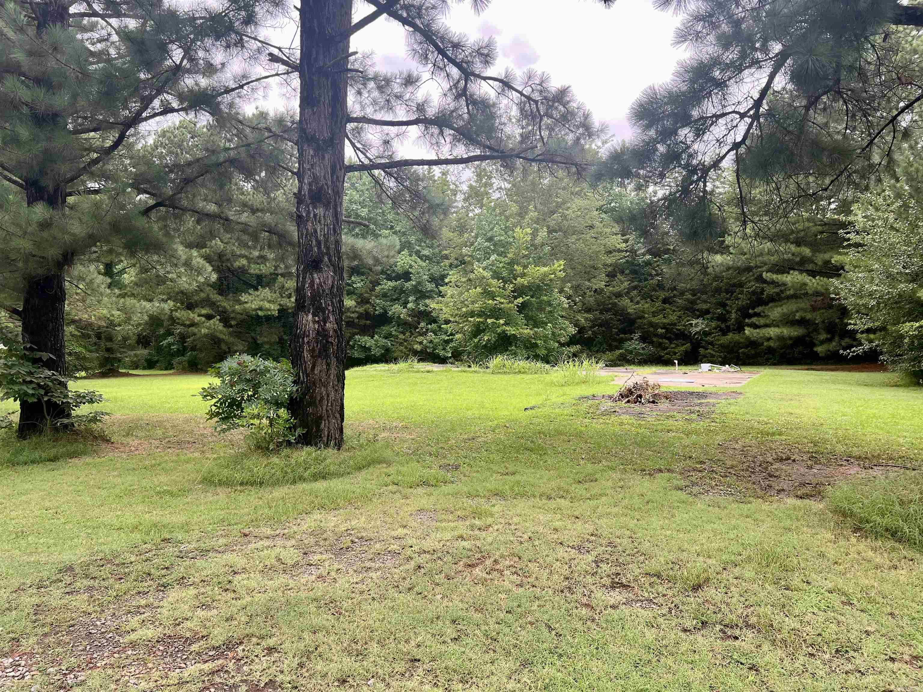 100 Mountain Side  Pangburn, AR