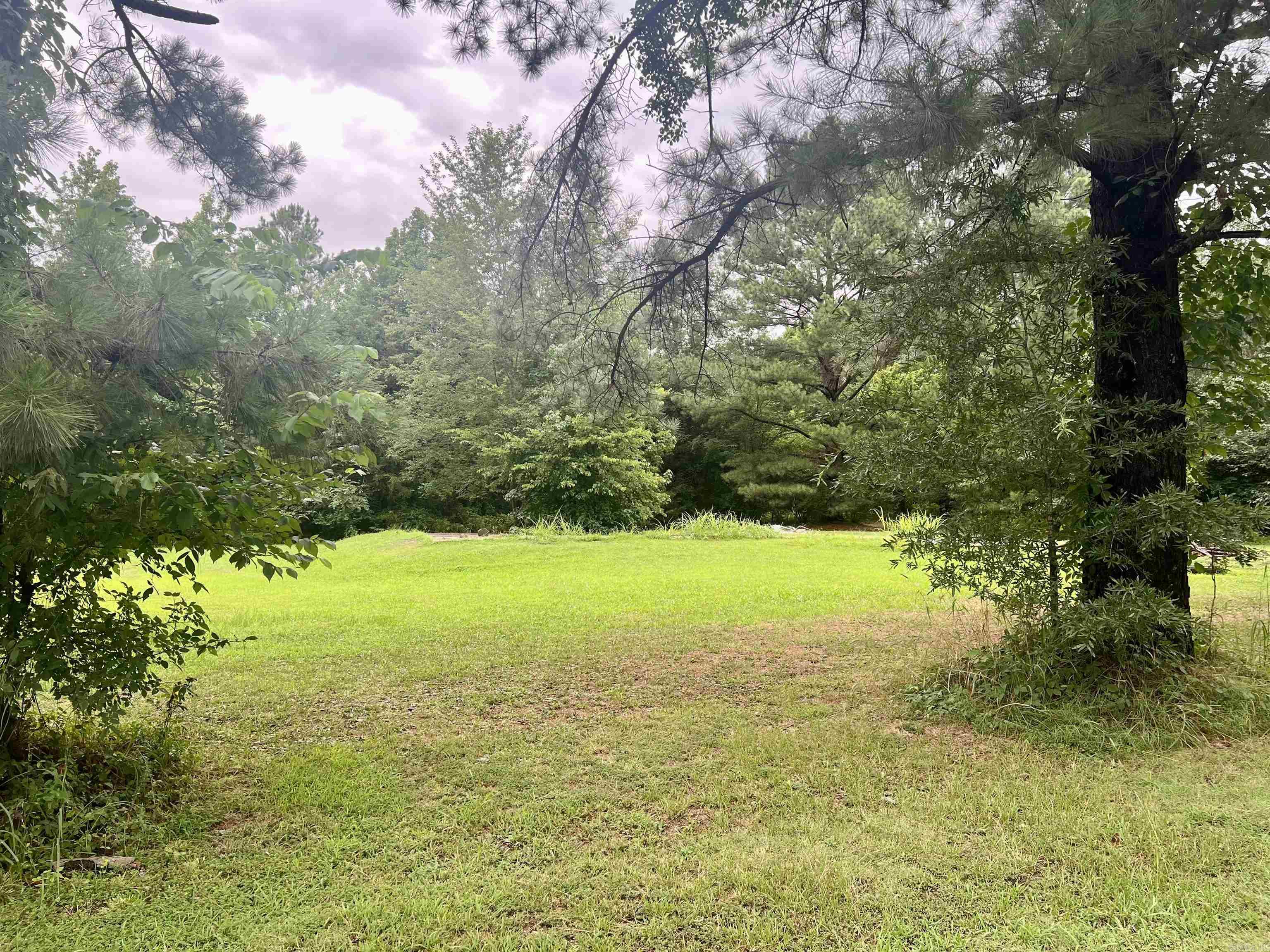 100 Mountain Side  Pangburn, AR