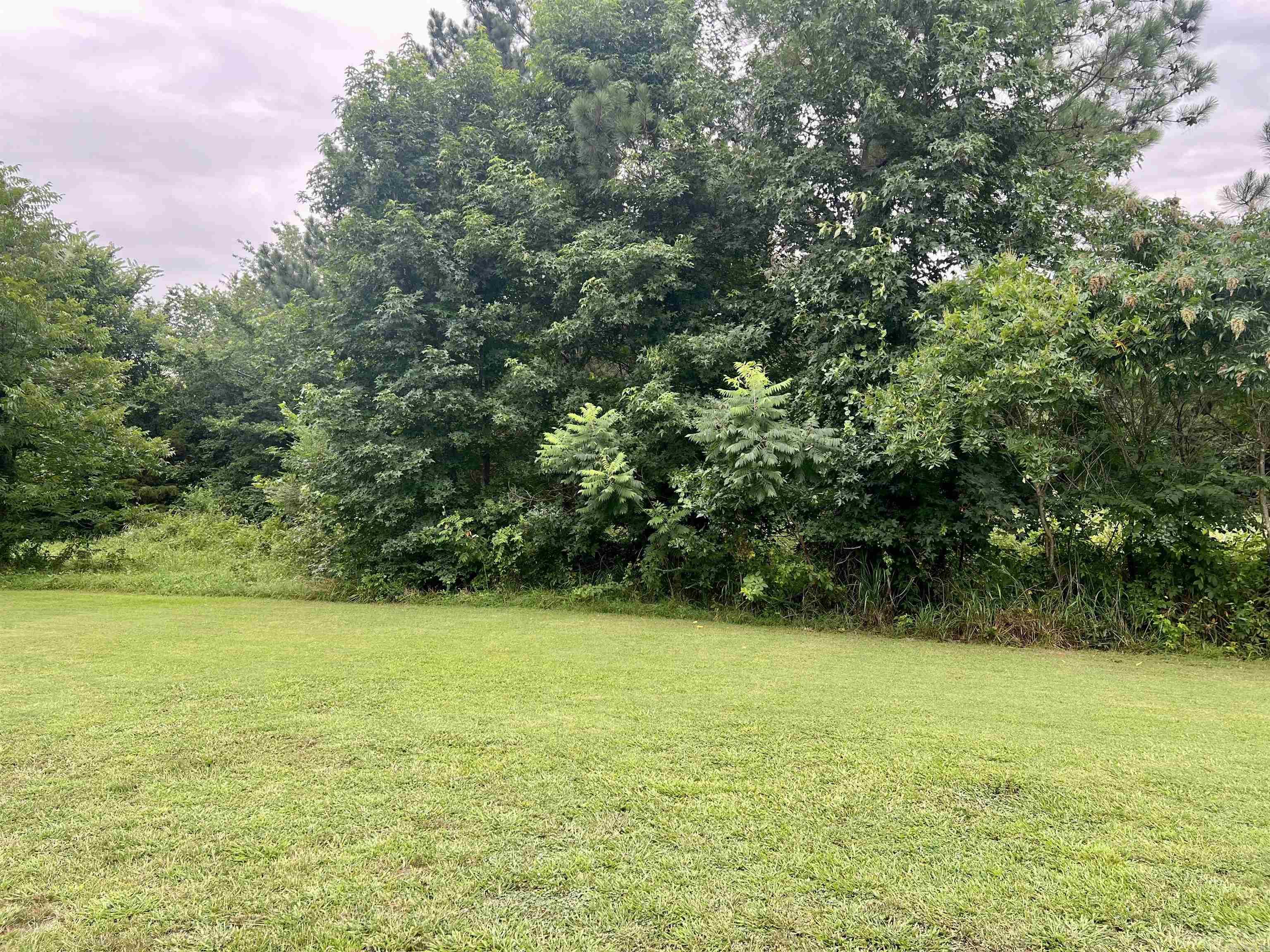 138 Mountain Side  Pangburn, AR