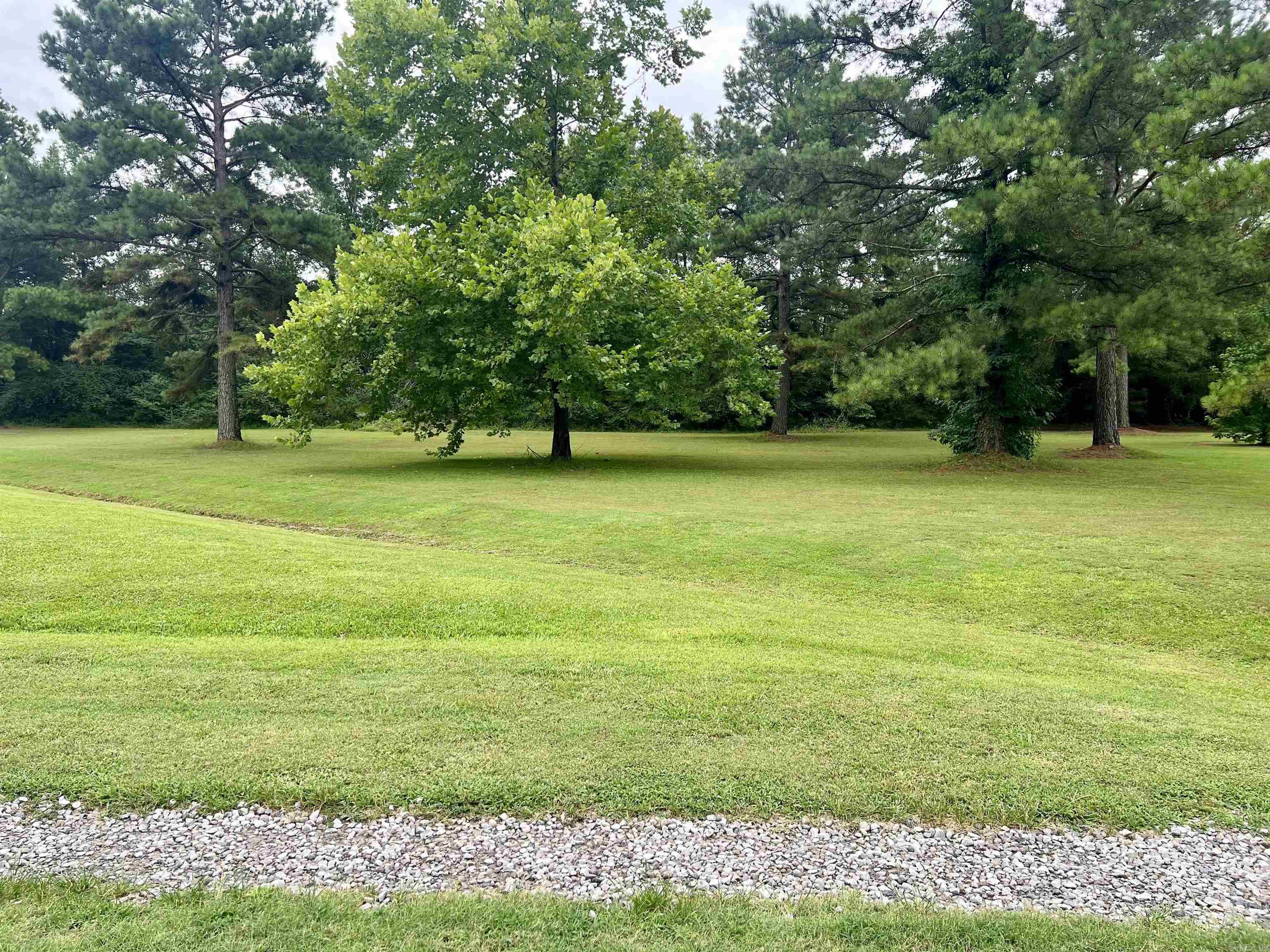 0000 Mountain Side Vacant Lot next to 117 Mountain Side Dr Pangburn, AR