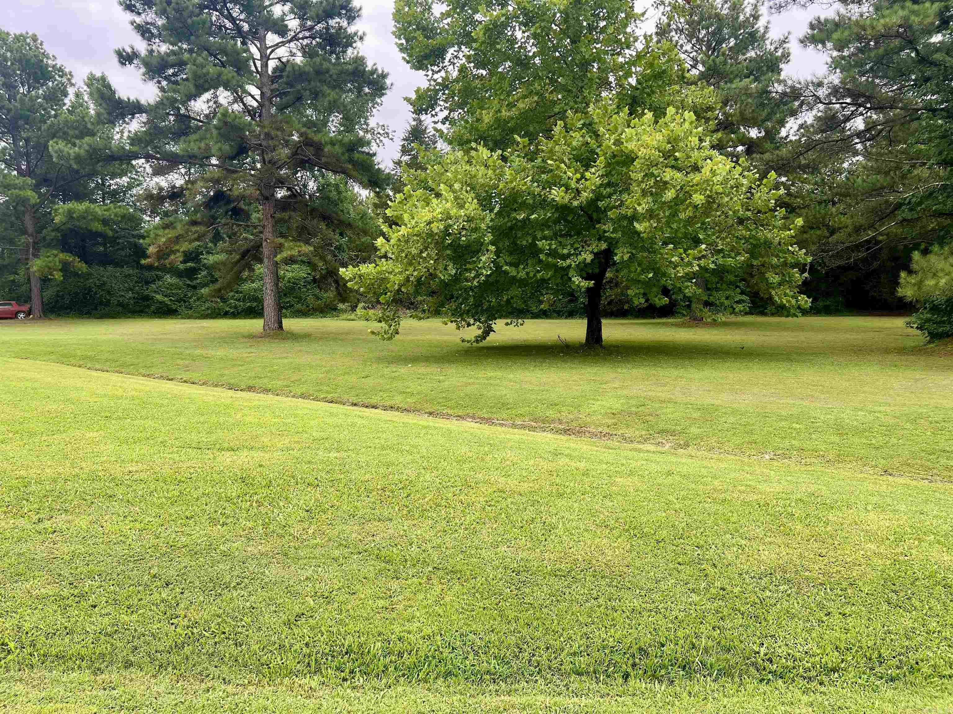 0000 Mountain Side Vacant Lot next to 117 Mountain Side Dr Pangburn, AR