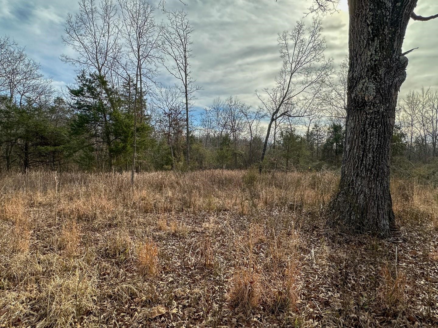 XX Liberty Hill  Hardy, AR