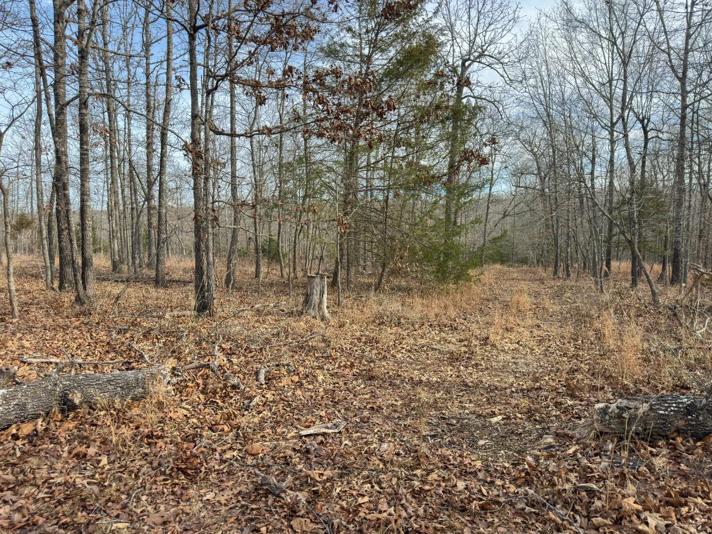 XX Liberty Hill  Hardy, AR