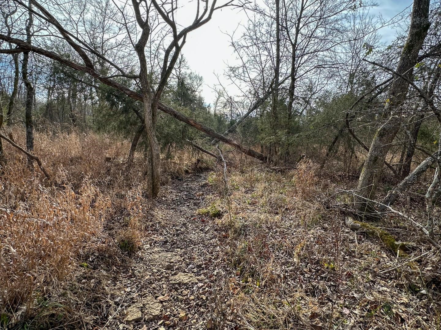 XX Liberty Hill  Hardy, AR