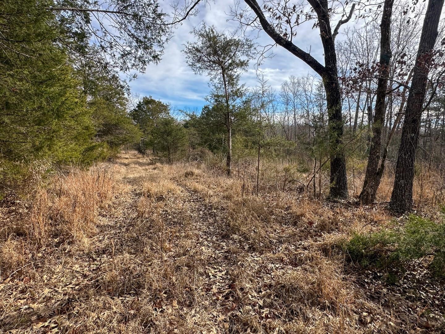 XX Liberty Hill  Hardy, AR