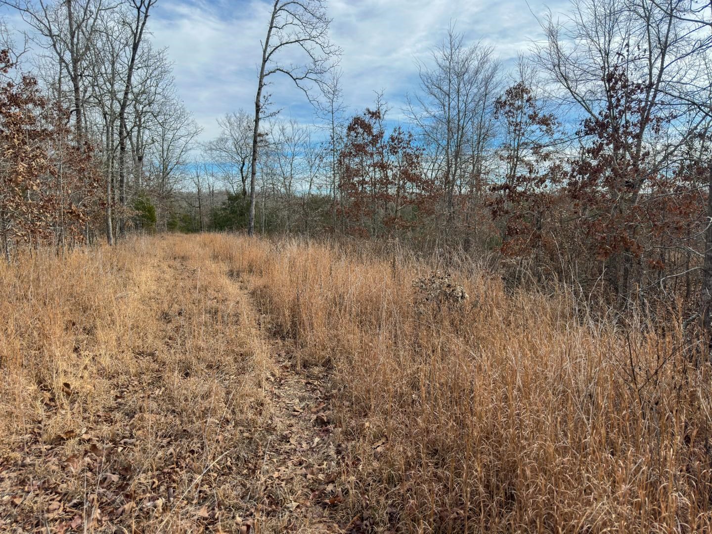 XX Liberty Hill  Hardy, AR