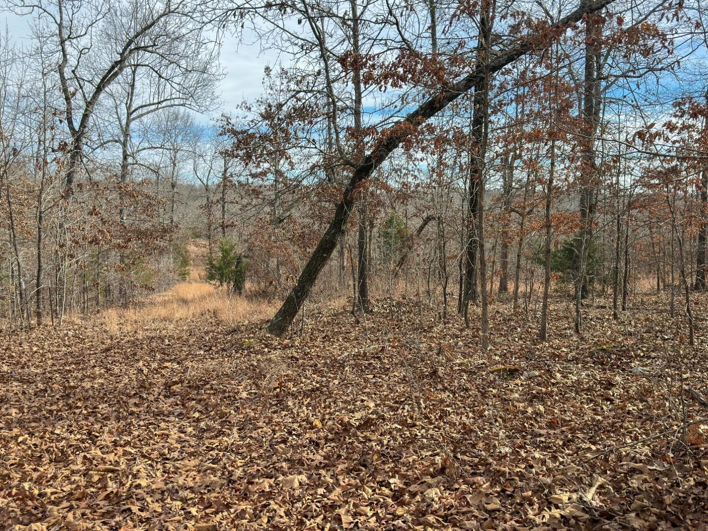 XX Liberty Hill  Hardy, AR